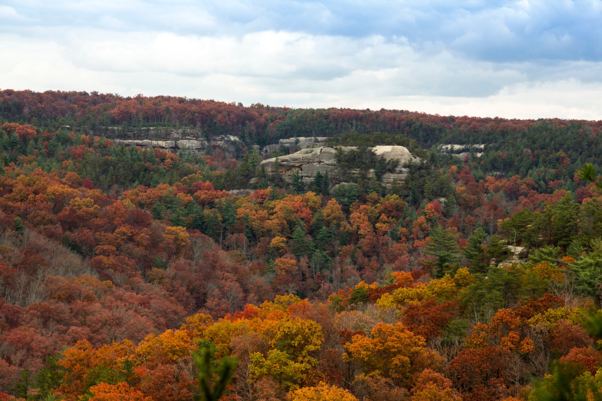 Herbstlaub in Kentucky