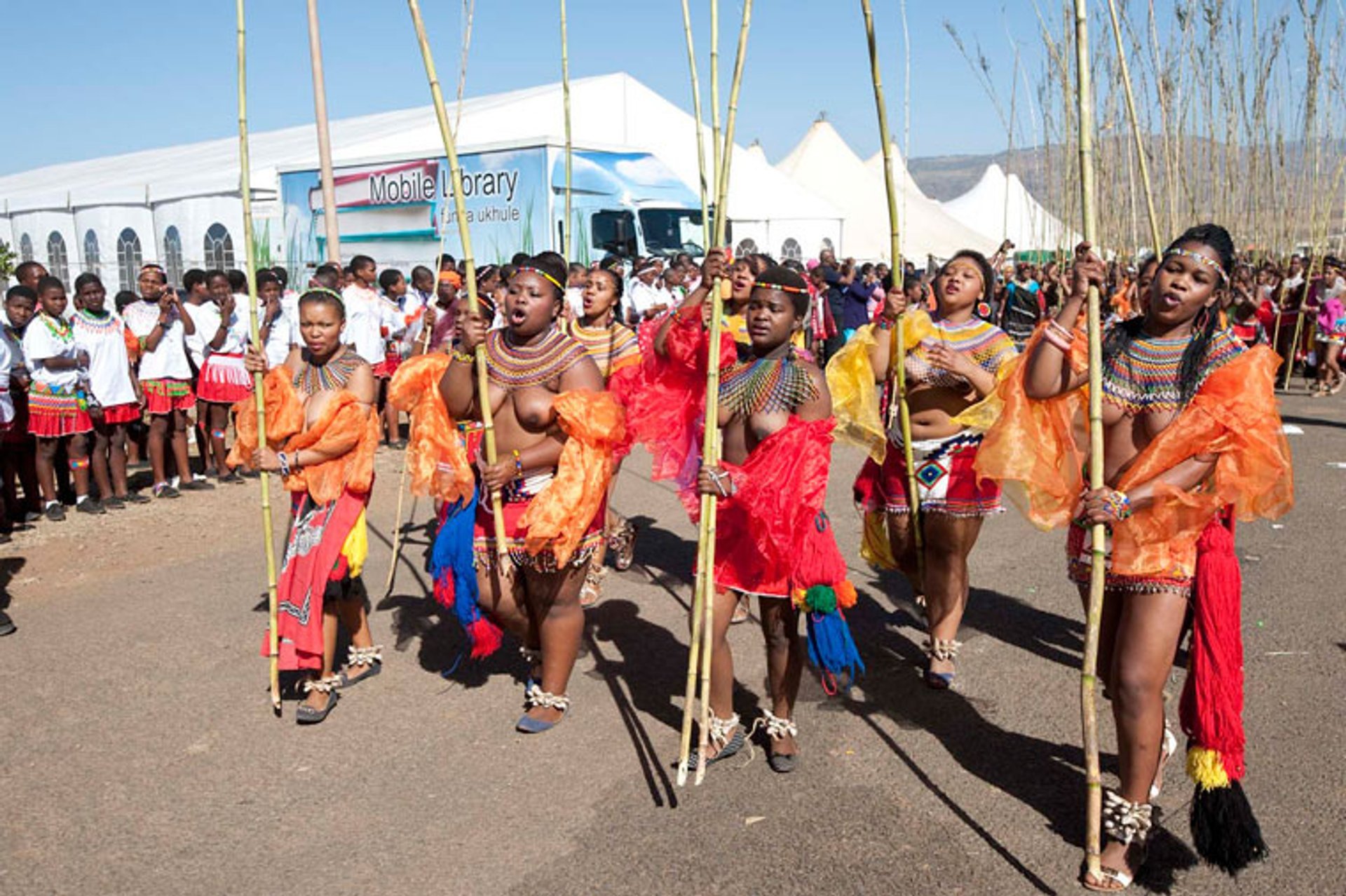 Zulu Reed Dance