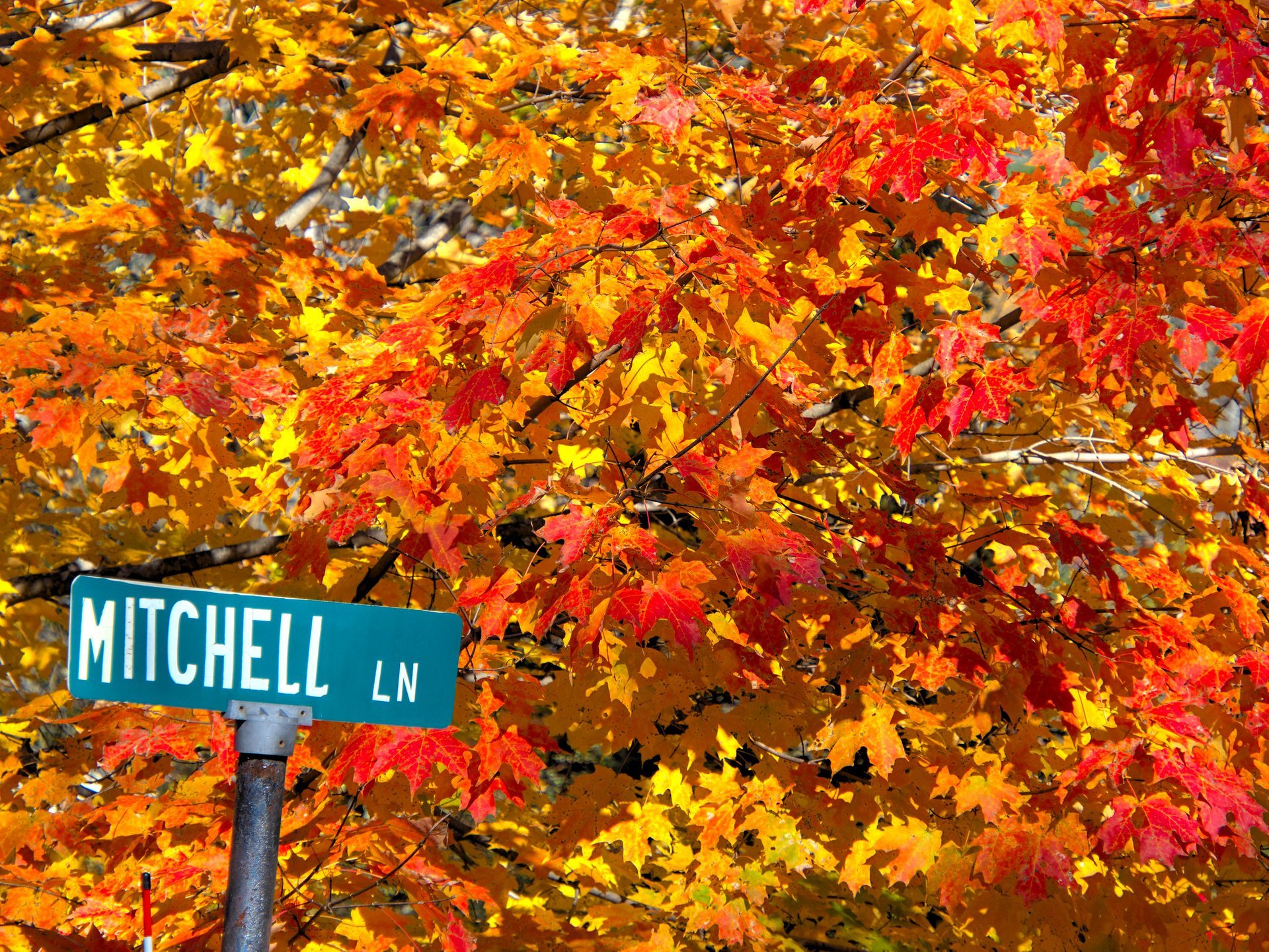 New Hampshire Fall Colors