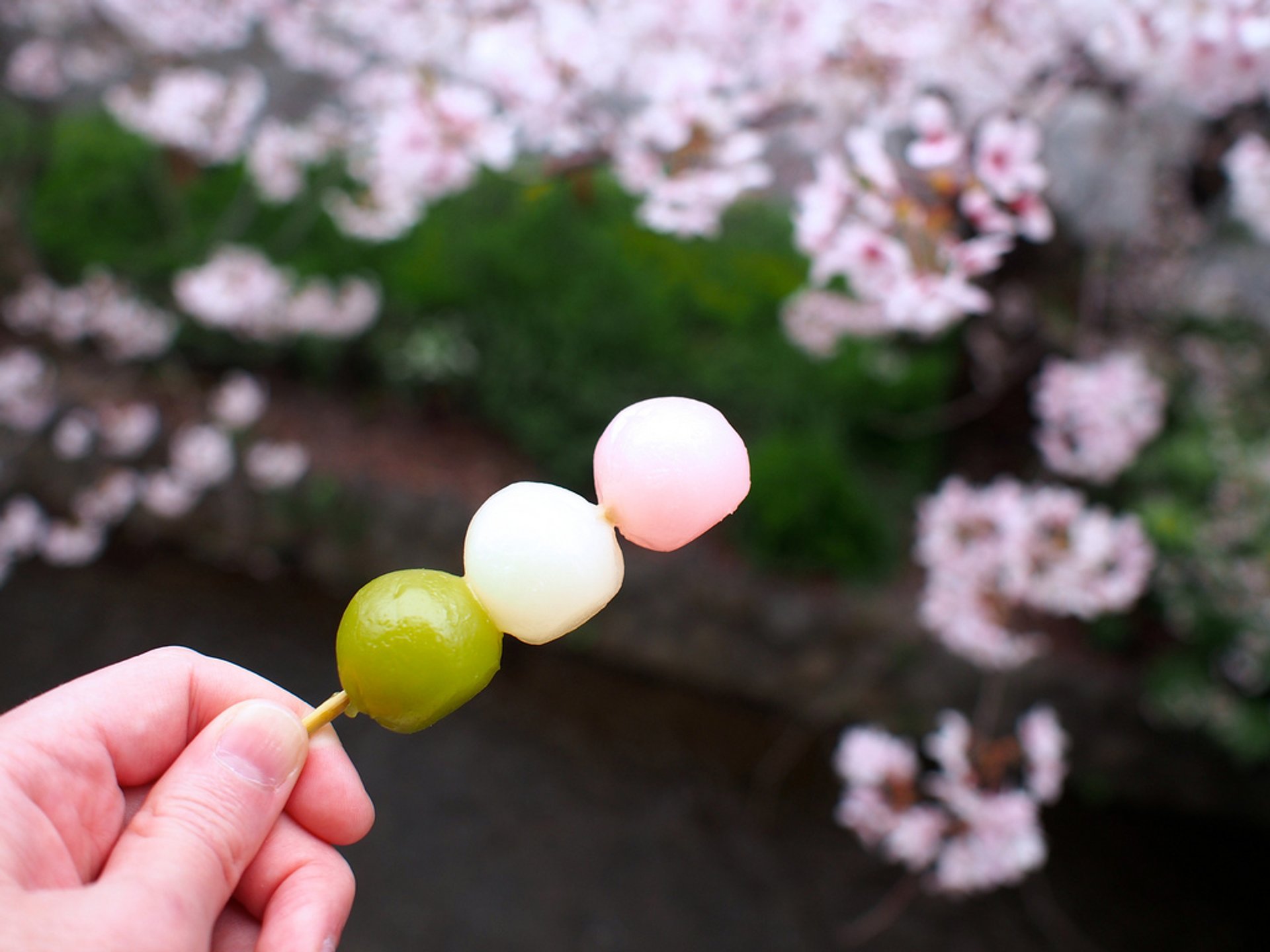 Hanami Dango