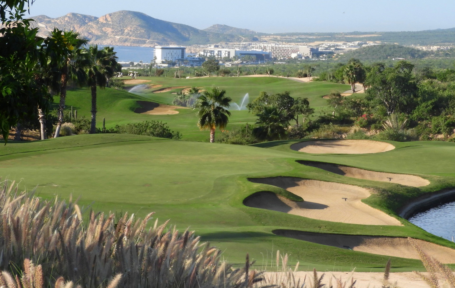 Best time for Golf Courses in Cabo San Lucas 2023 - Best Season