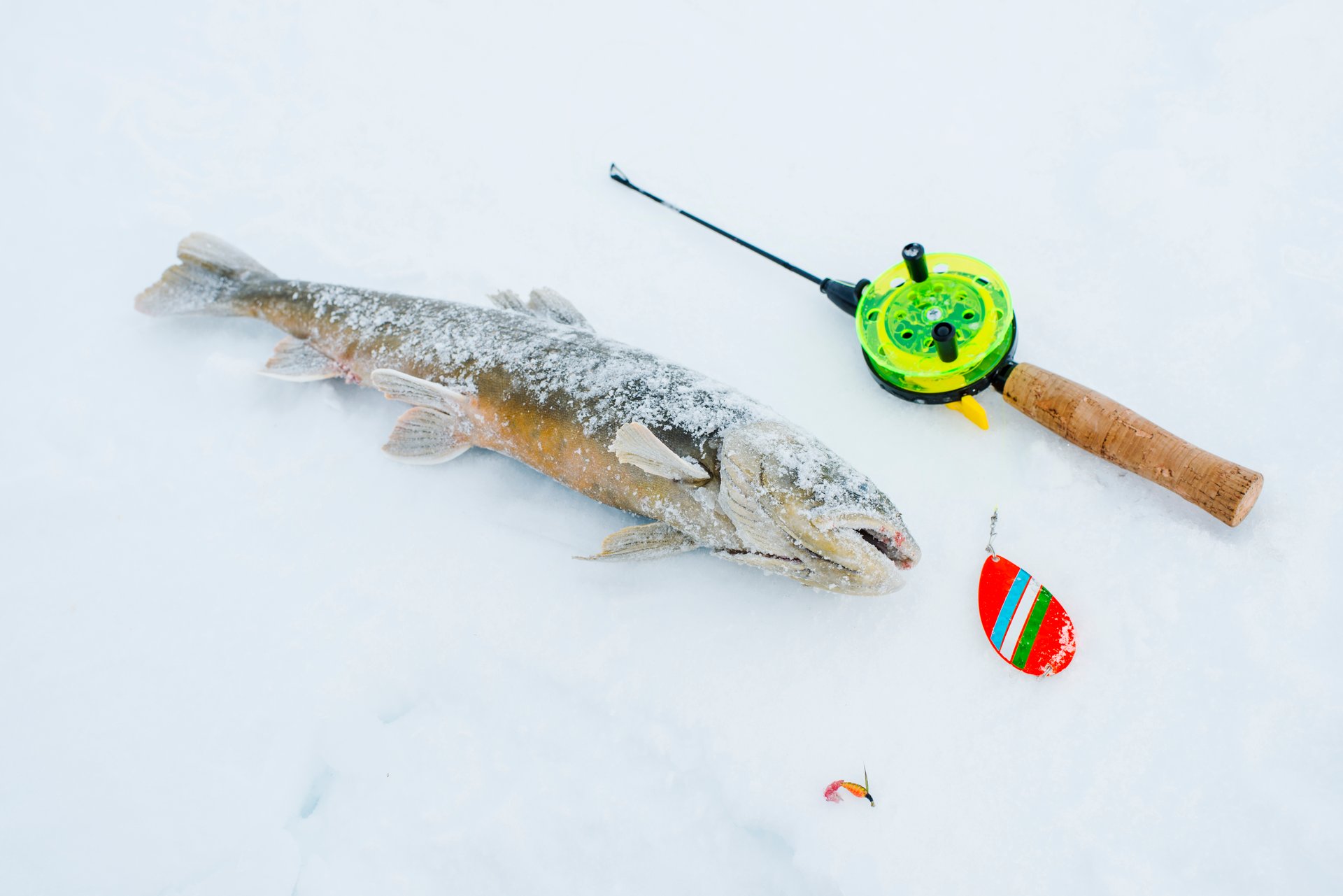 Pesca en hielo