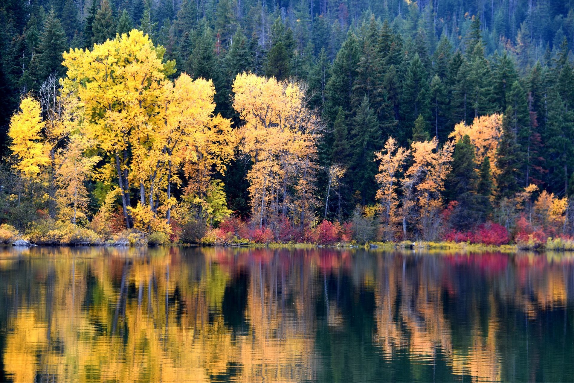 Couleurs d'automne de Washington