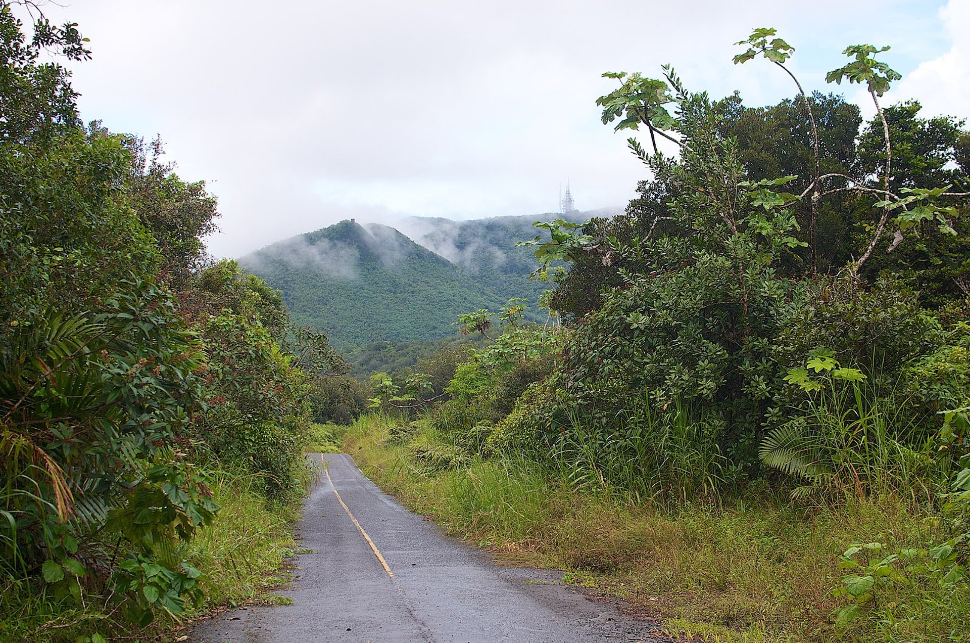 El Yunque Nationalwald