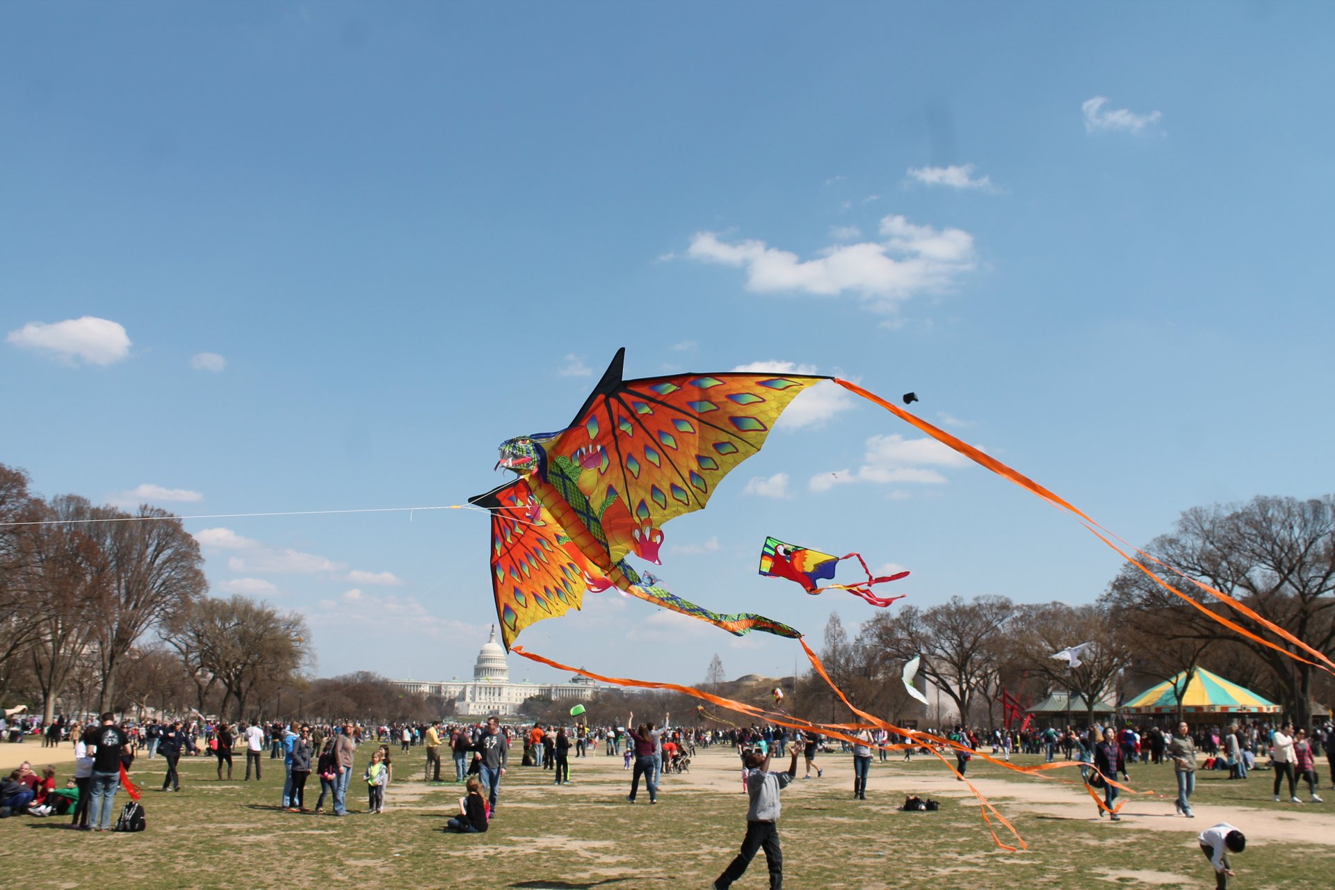 National Cherry Blossom Festival 2024 in Washington, D.C. Dates