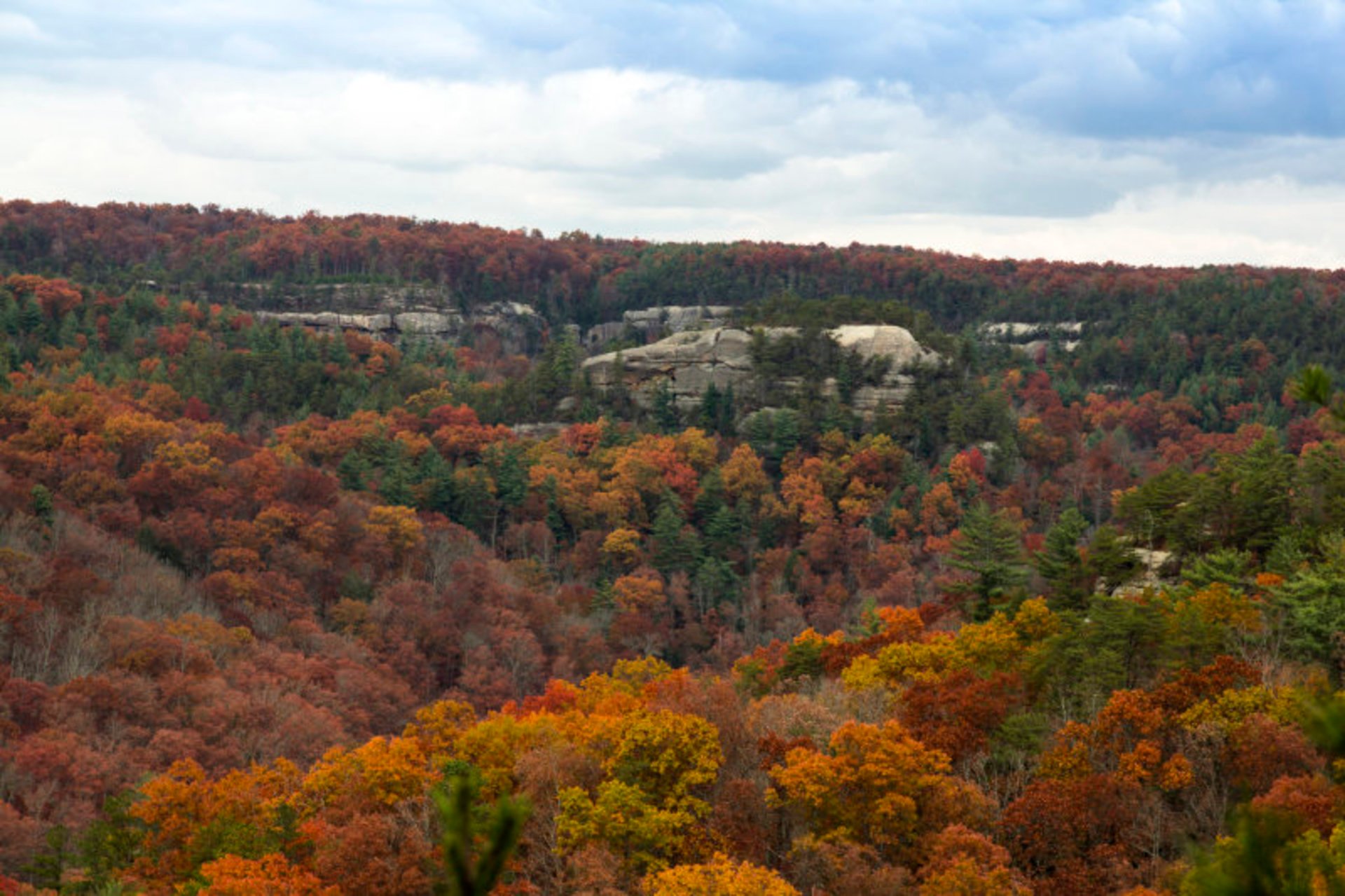 Red River Gorge Fall Colors