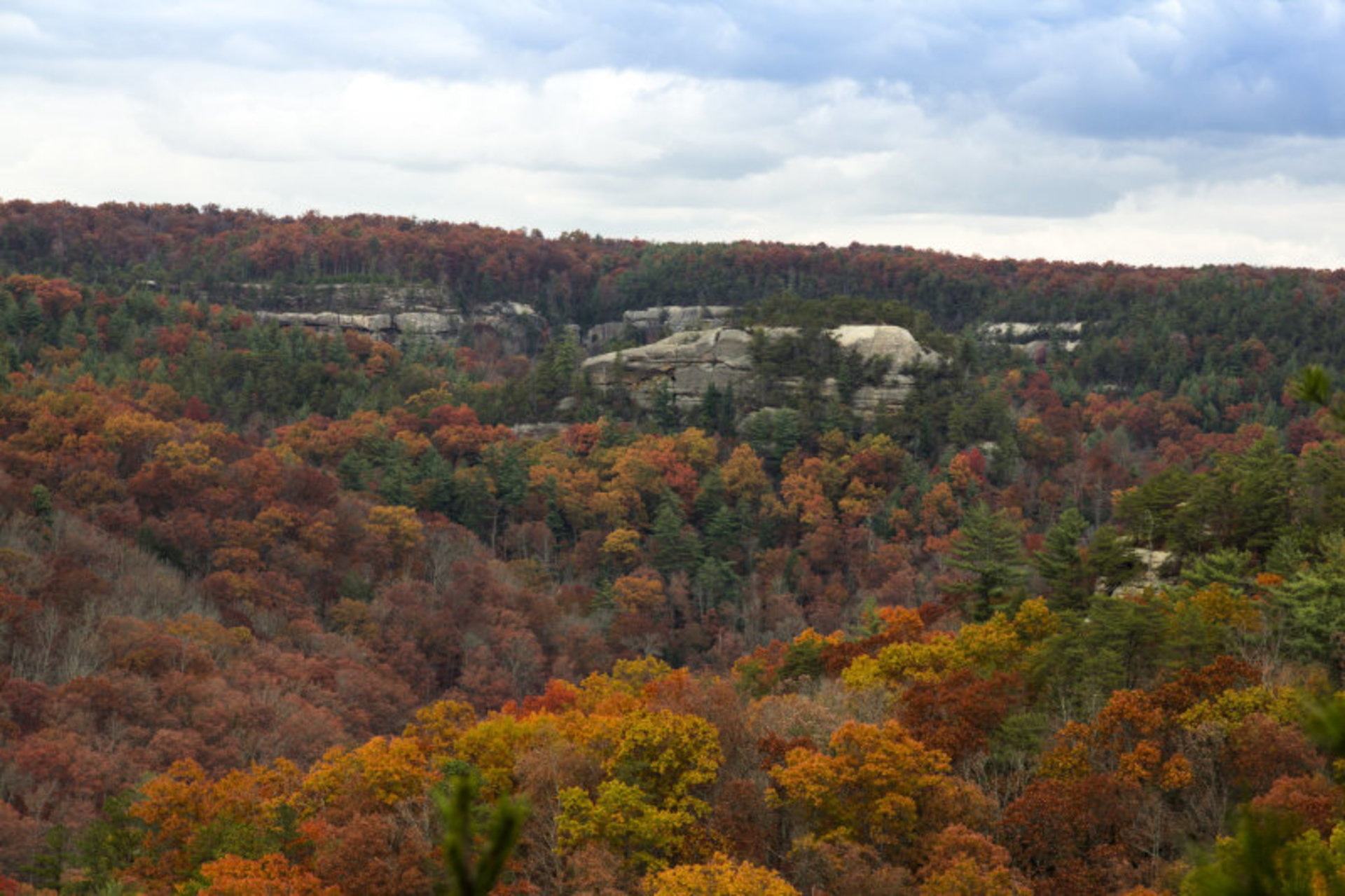 Red River Gorge Fall Colors