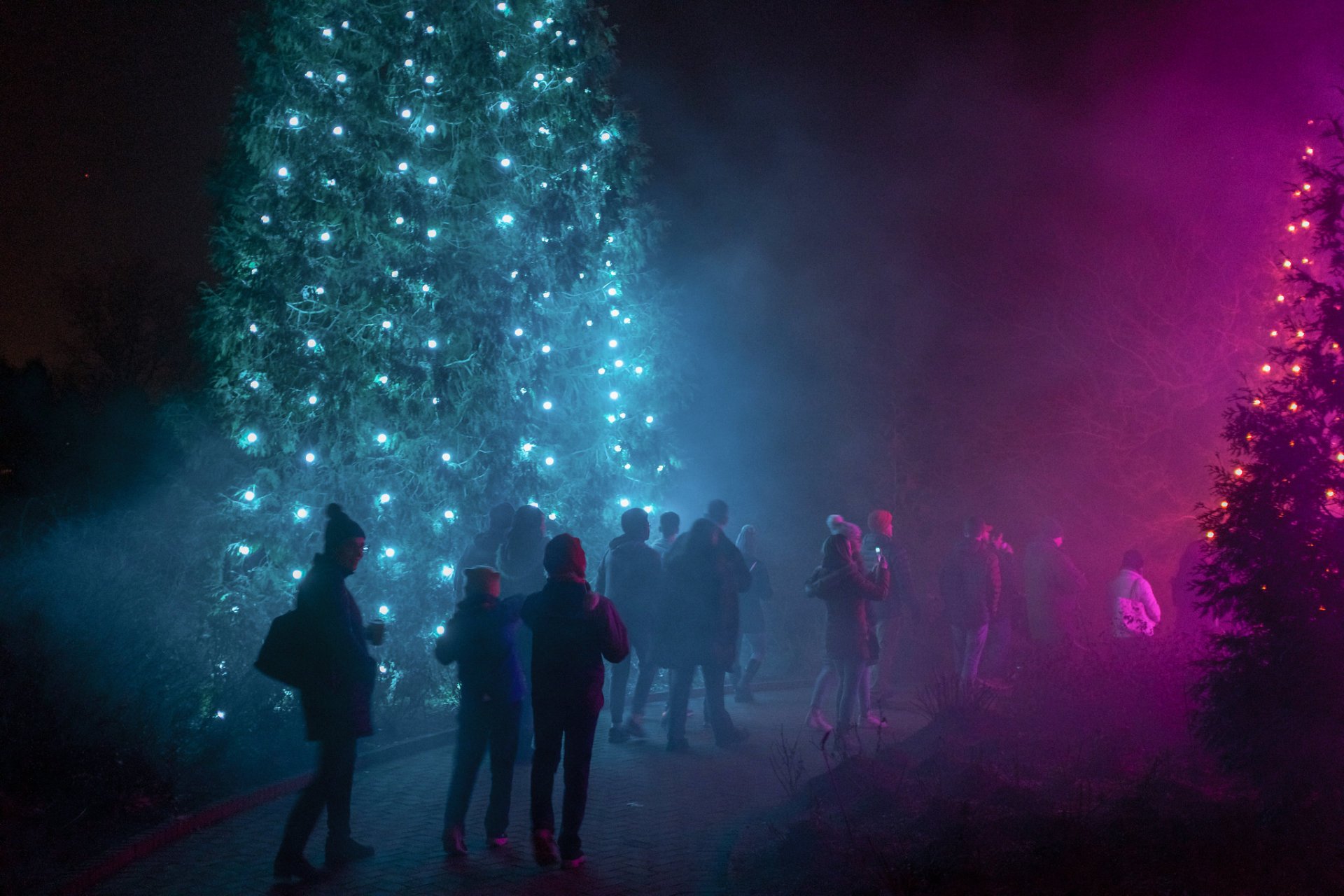 Lumières de Noël à Chicago