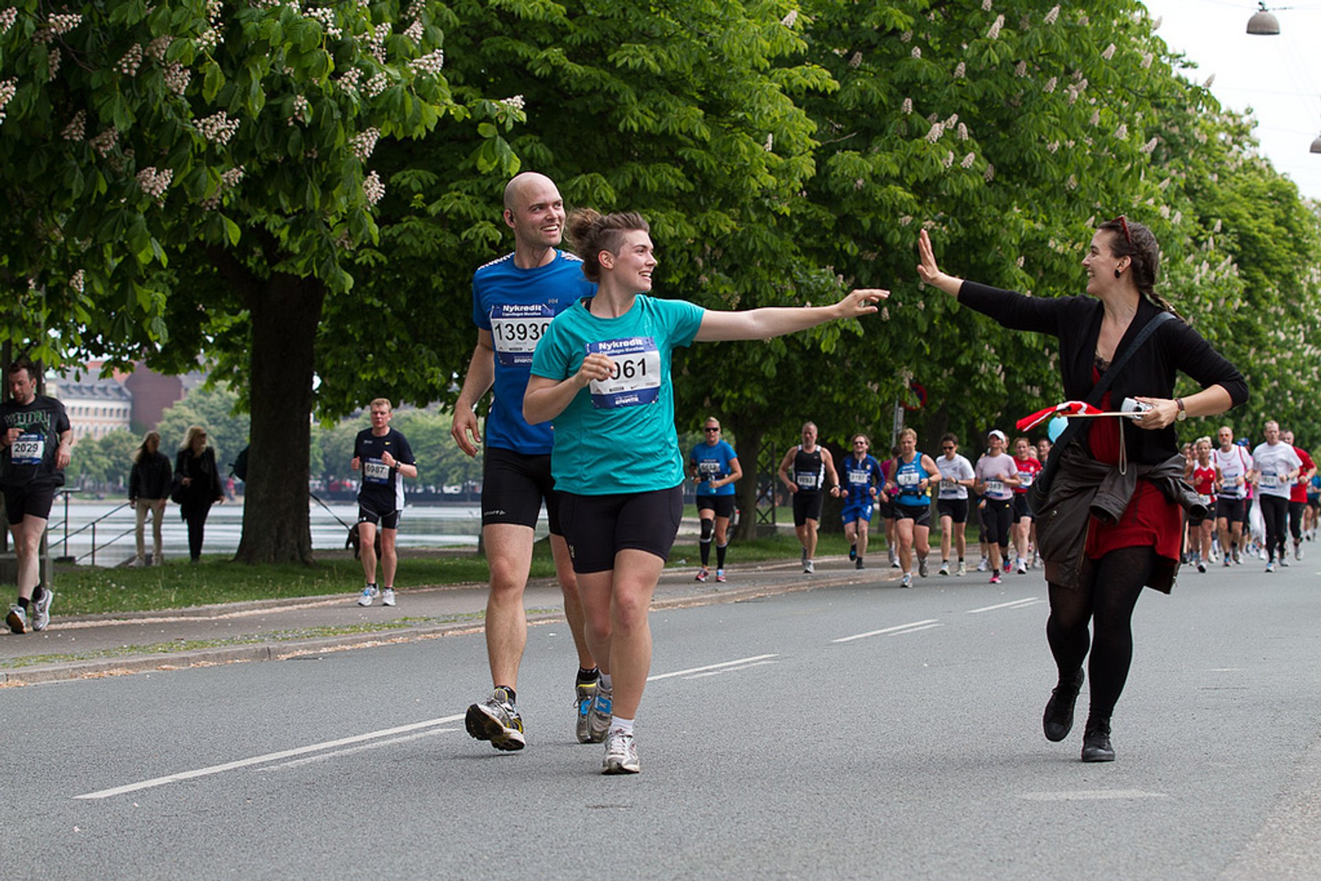 Maratón de Copenhague 2024 Rove.me