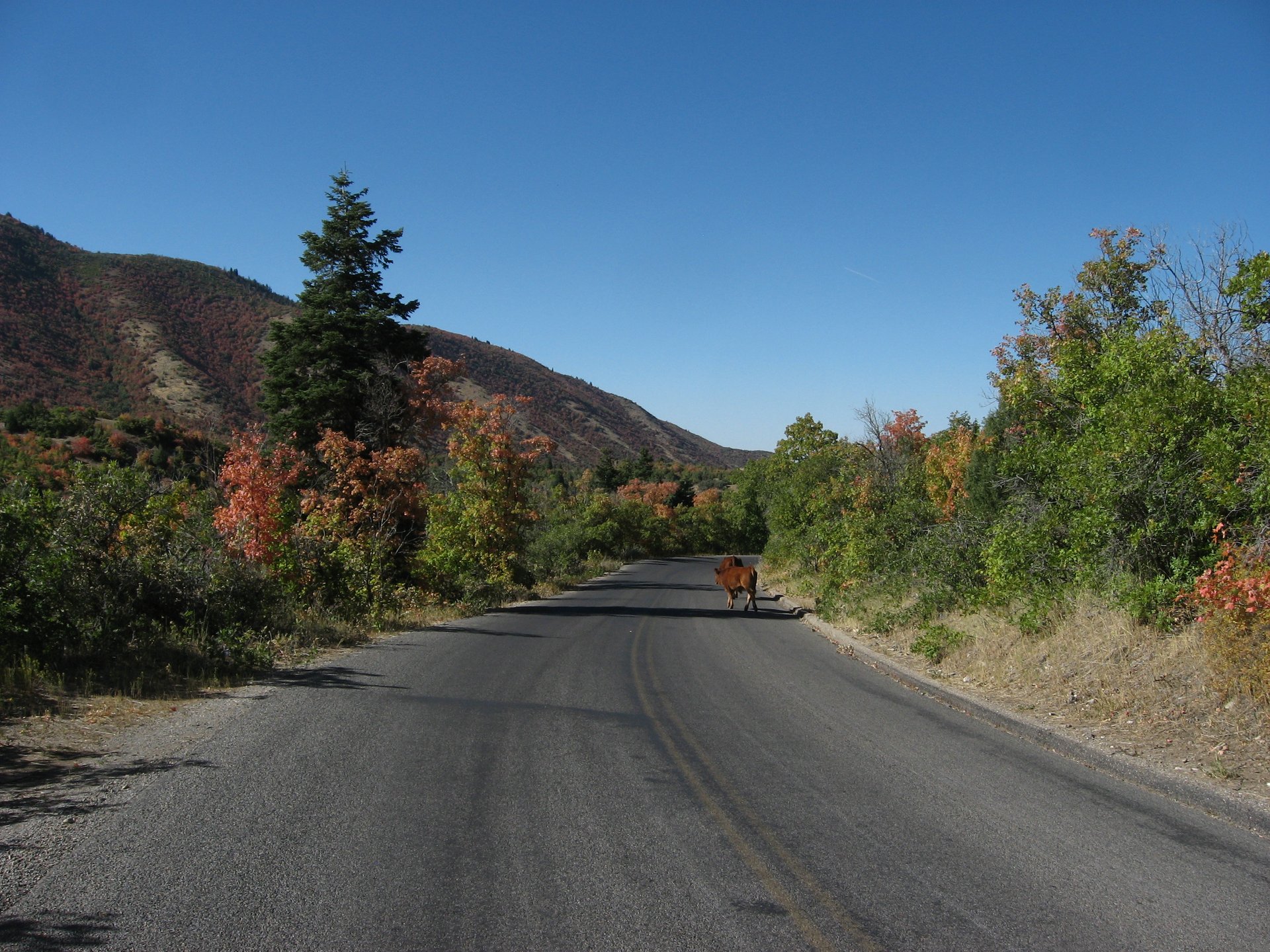 Parcours scénique du mont Nebo (Nebo Loop)