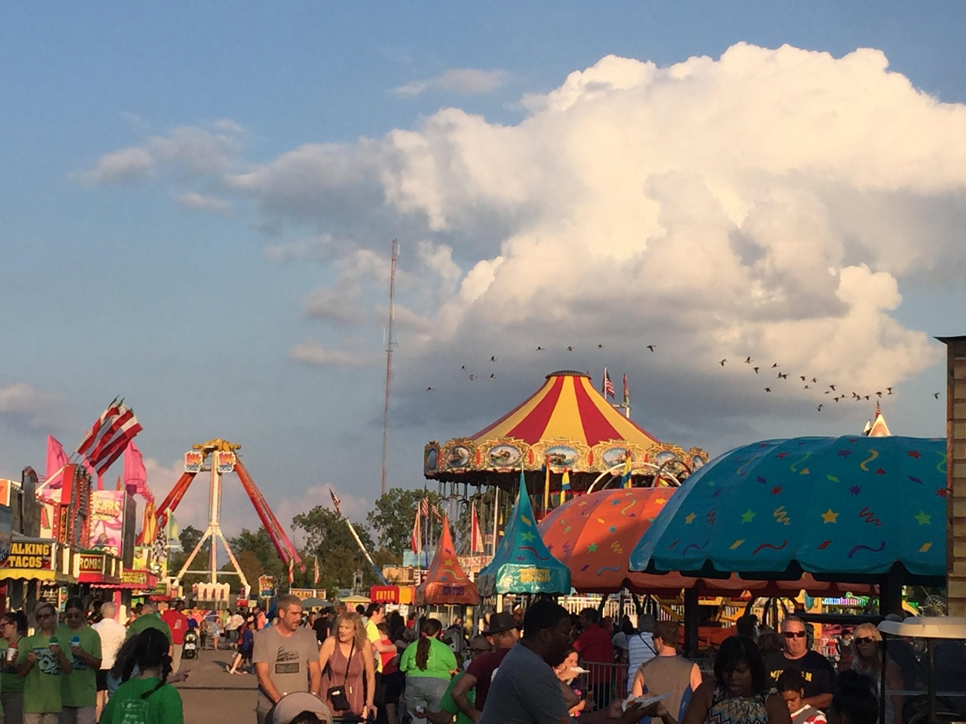 2022 Mi State Fair Schedule County Fair 2022