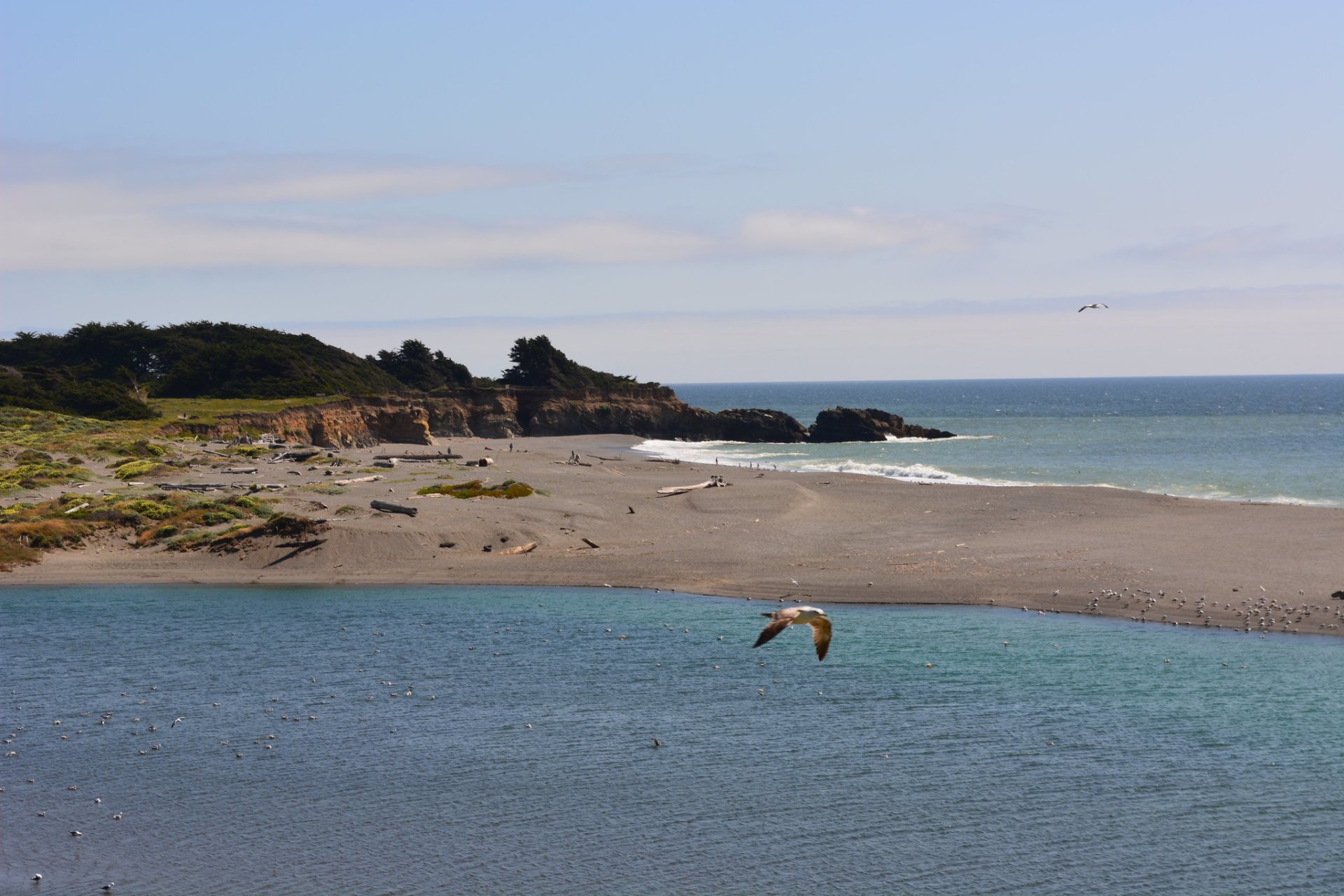 Napa and Sonoma Beaches