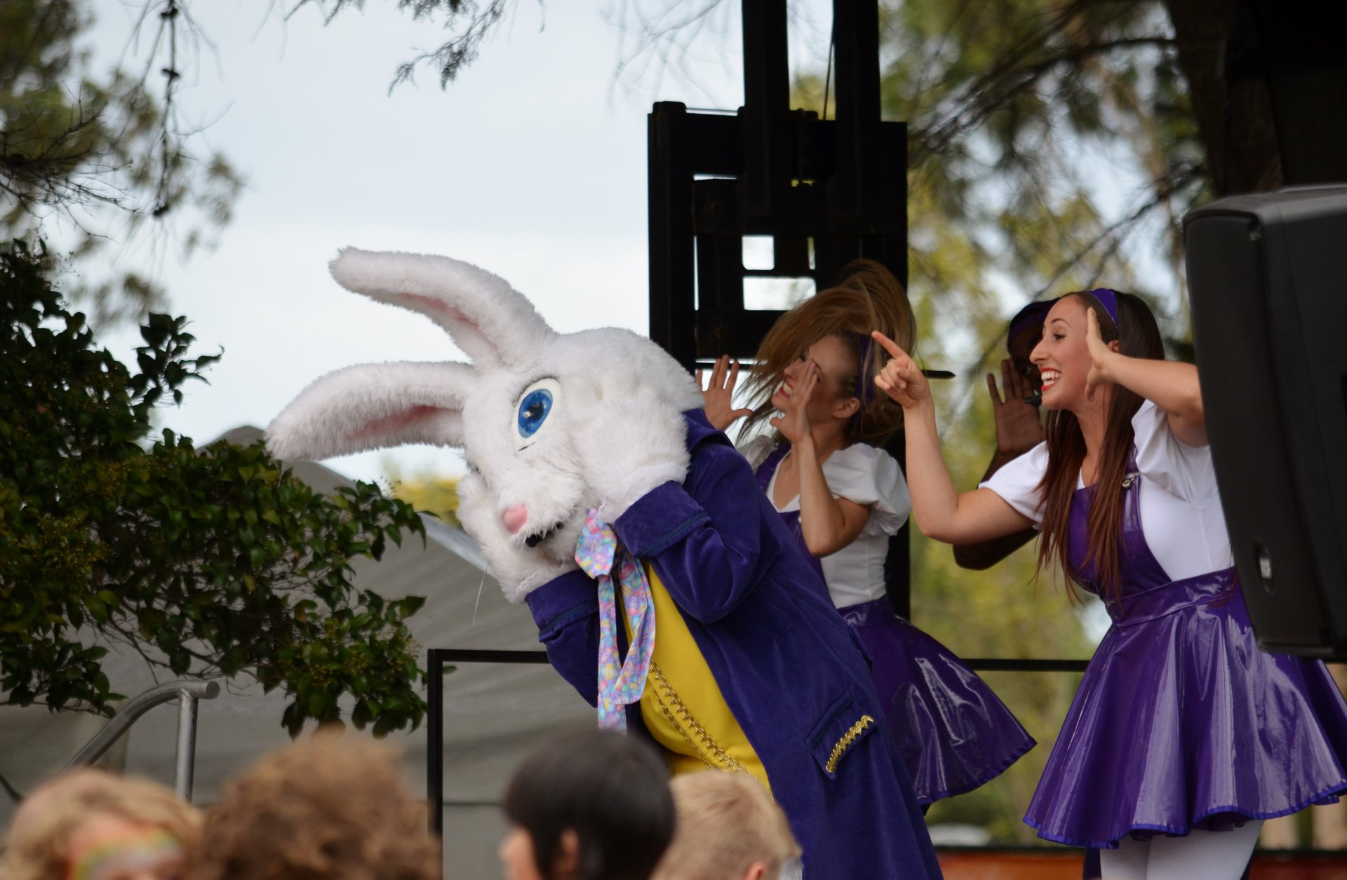 Déguisement lapin de Pâques - Fiesta Republic