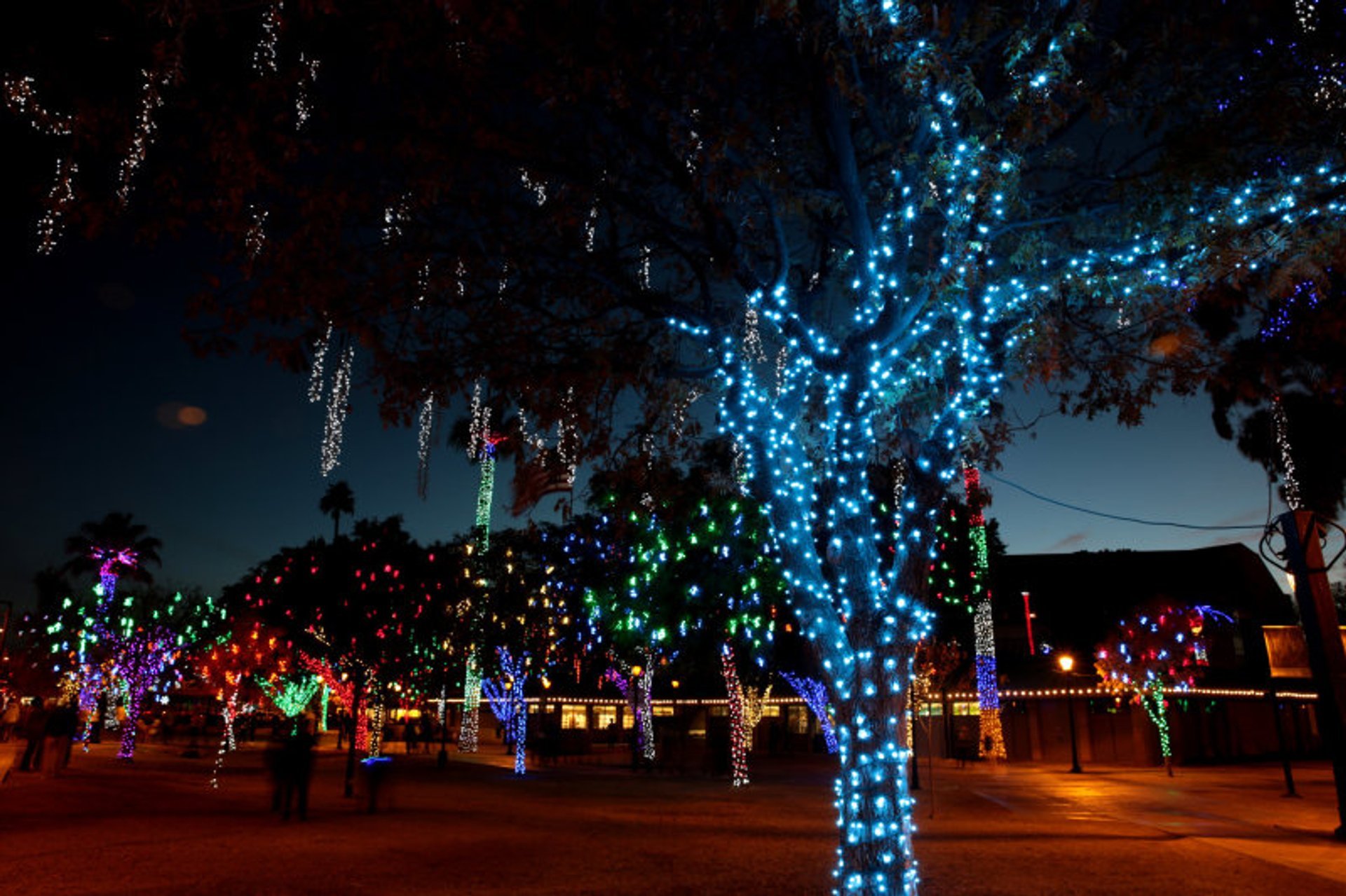 Weihnachtslichter in Phoenix, AZ