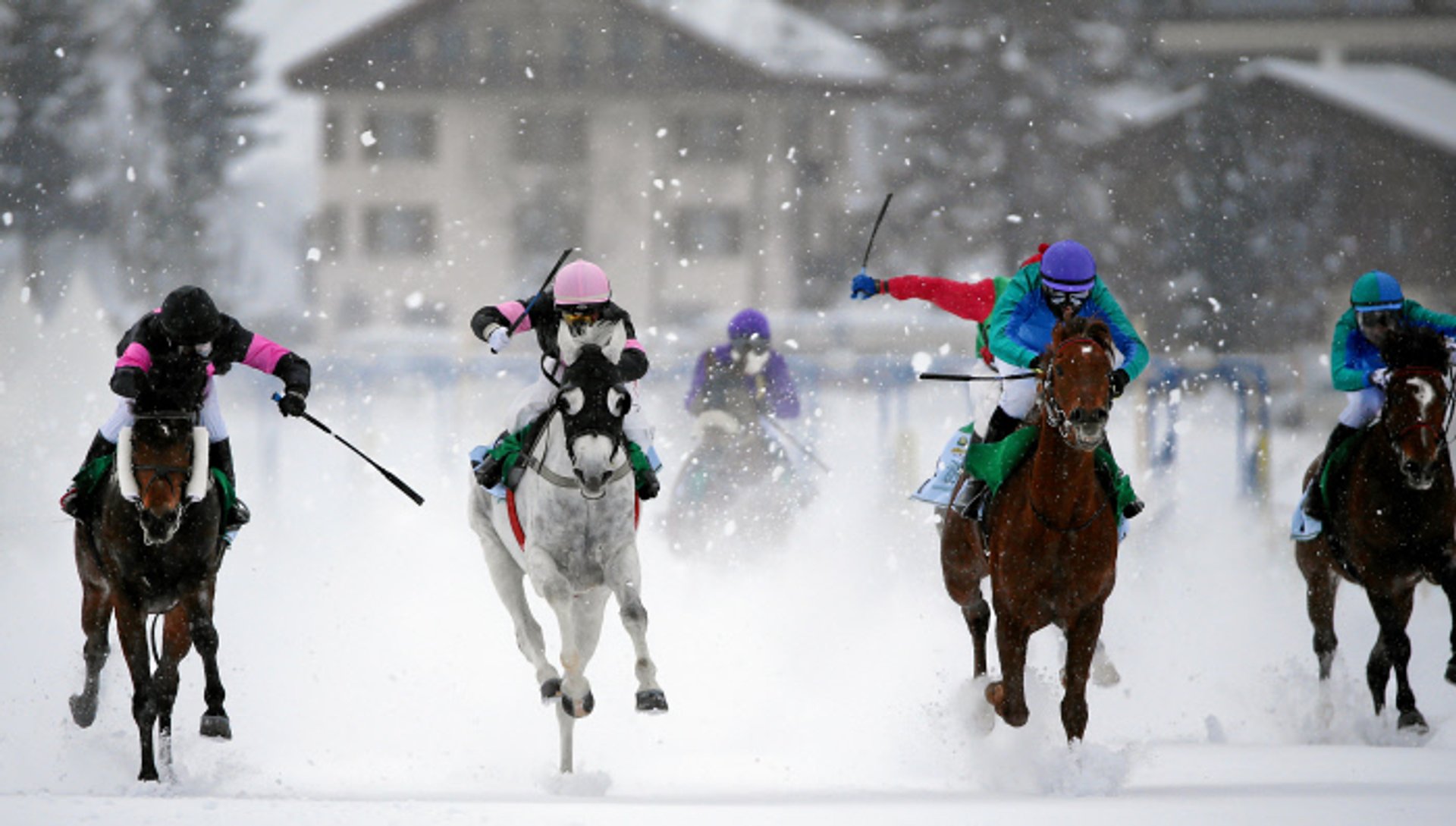 Turf blanc St. Moritz