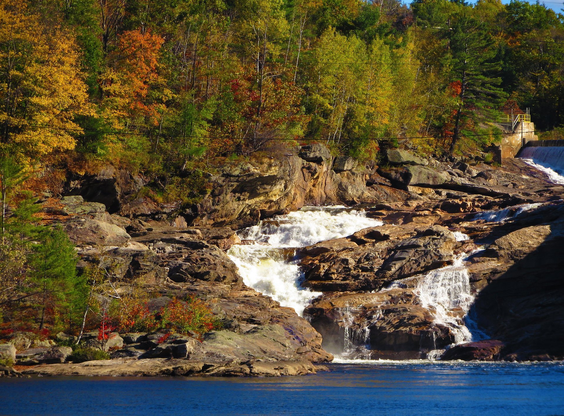 Maine Herbstlaub