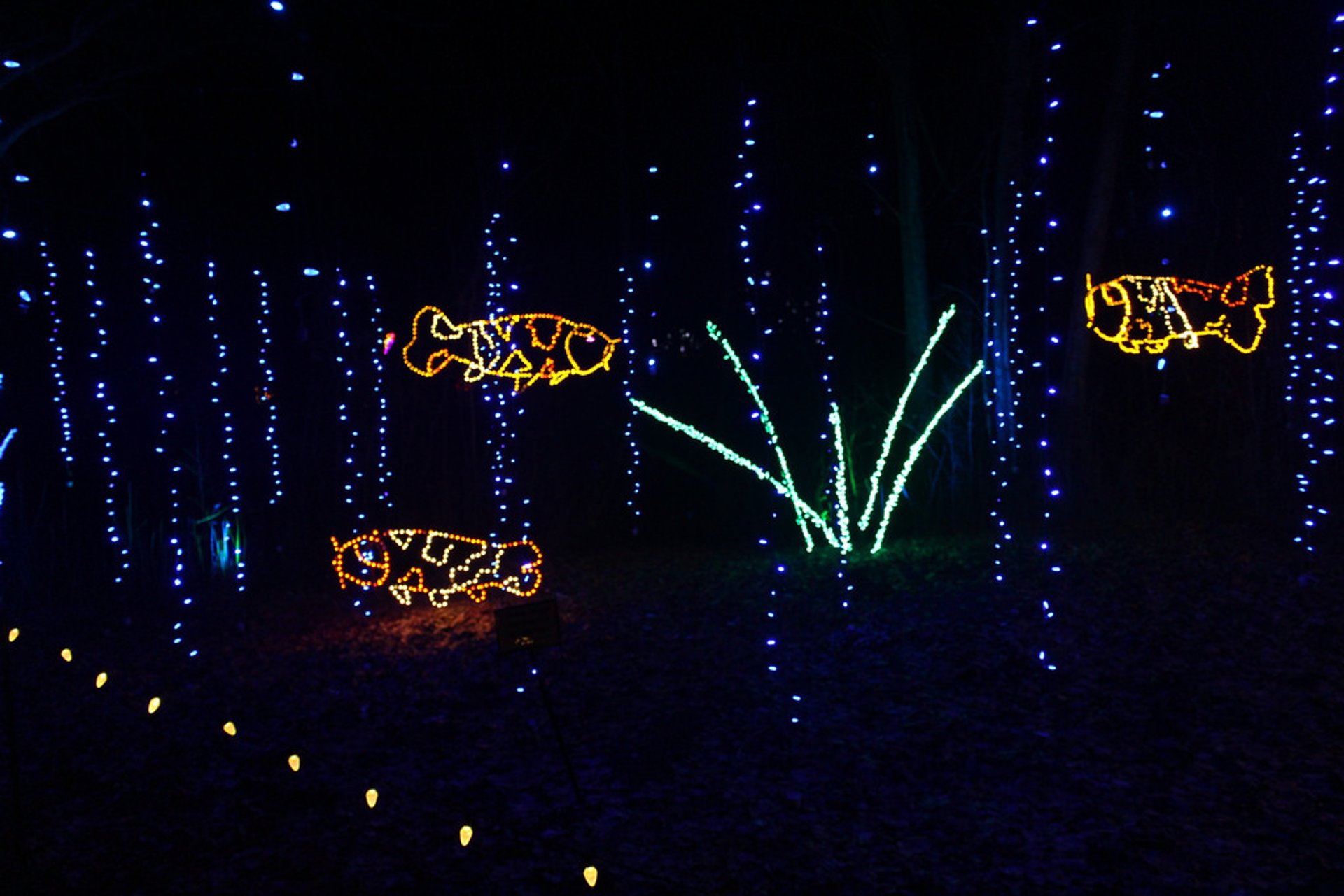 Garden of Lights en el Jardín Botánico de Green Bay