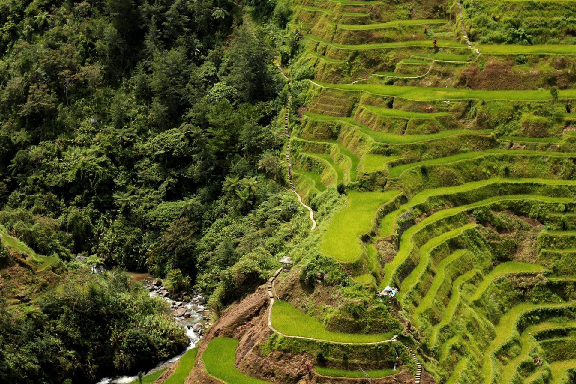 Banaue und Batad Reis-Terrassen