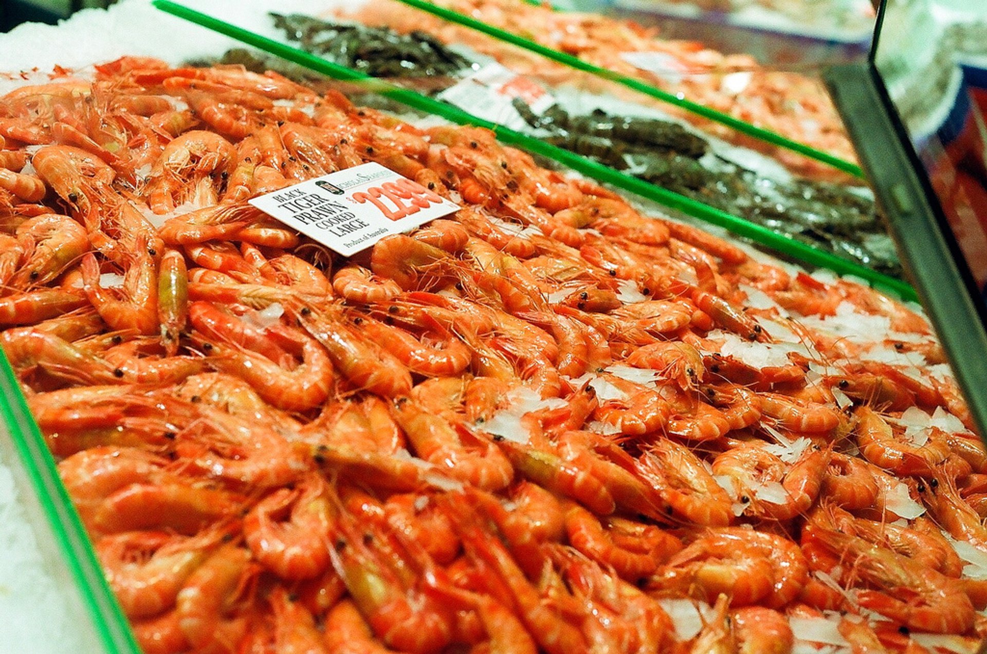 Mercado de pescado de Sydney