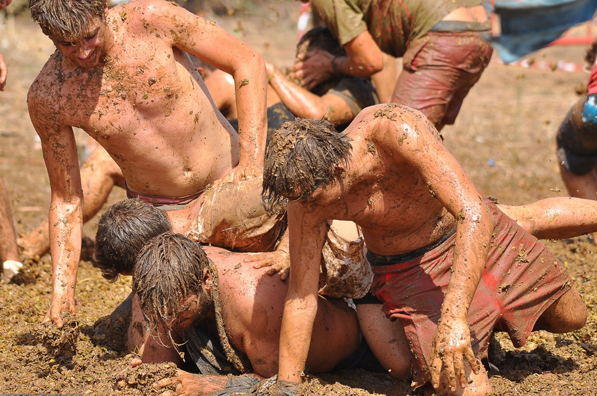 Festa della Vendemmia