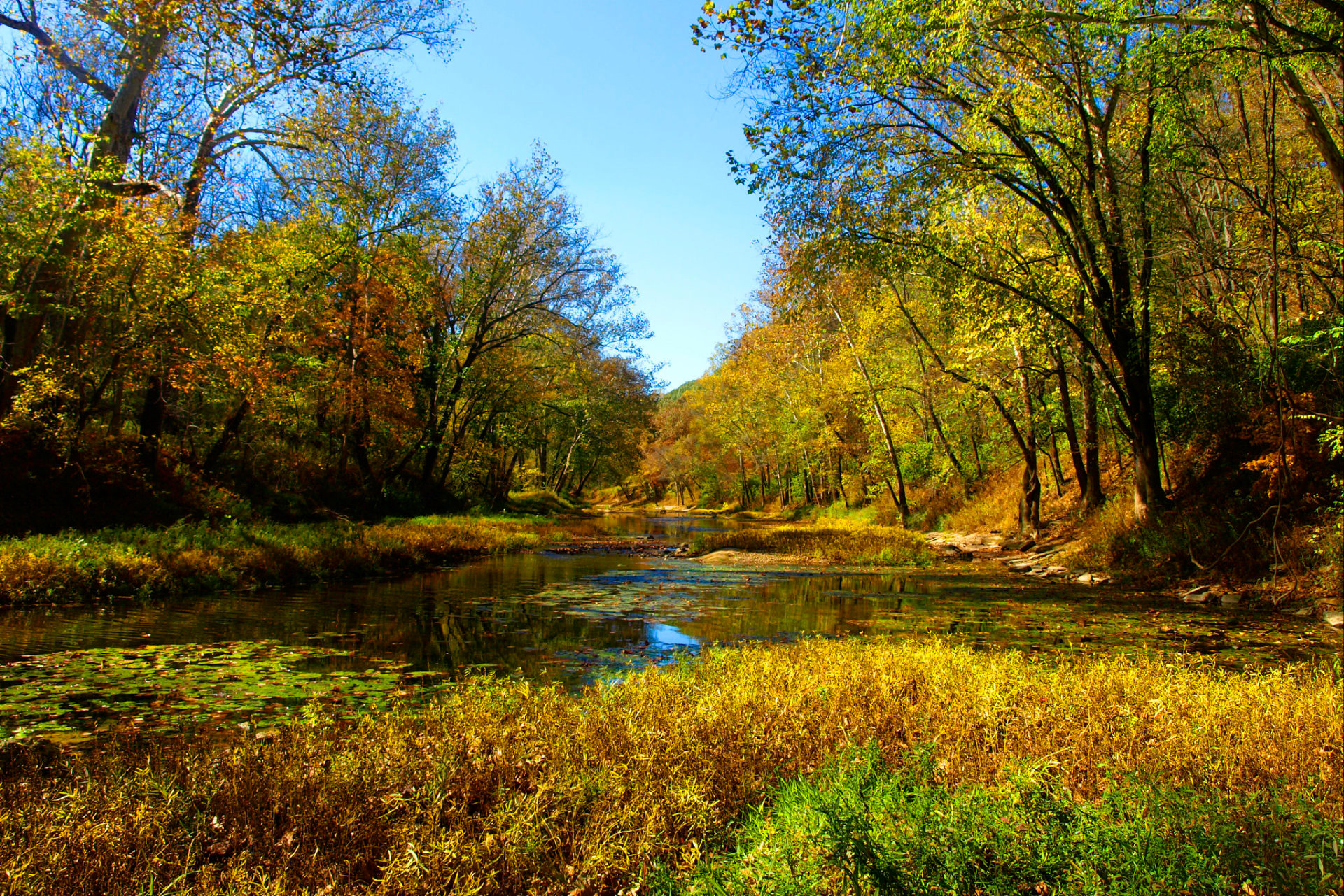 Indiana Herbstlaub