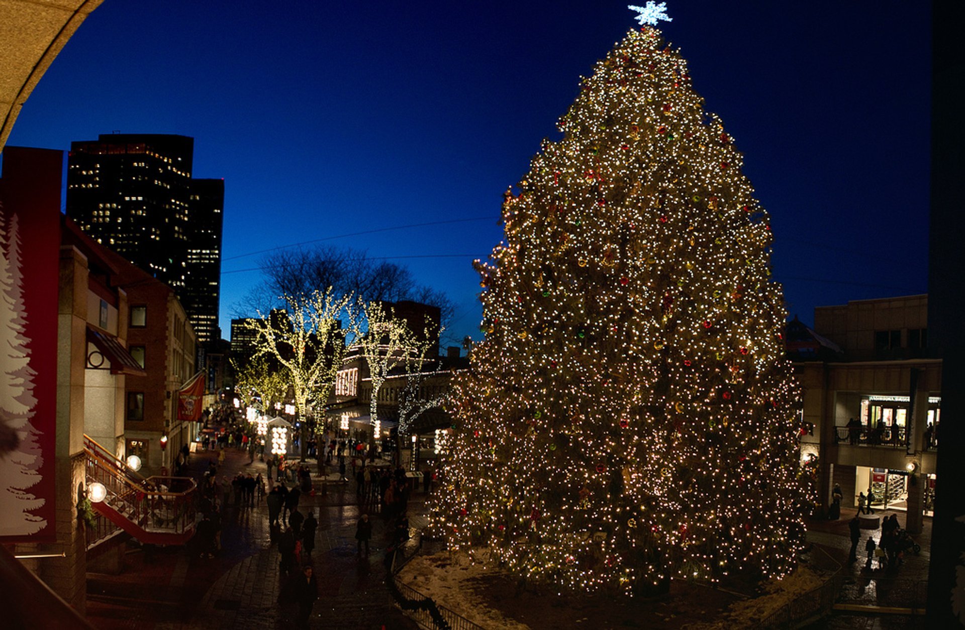 christmas tree lighting chicago 2019/2020