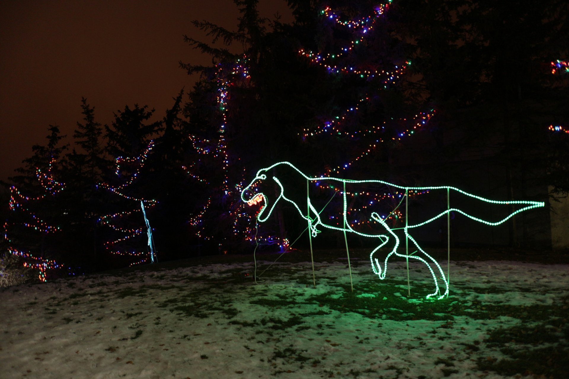 Zoo Lights 20232024 in Calgary Dates