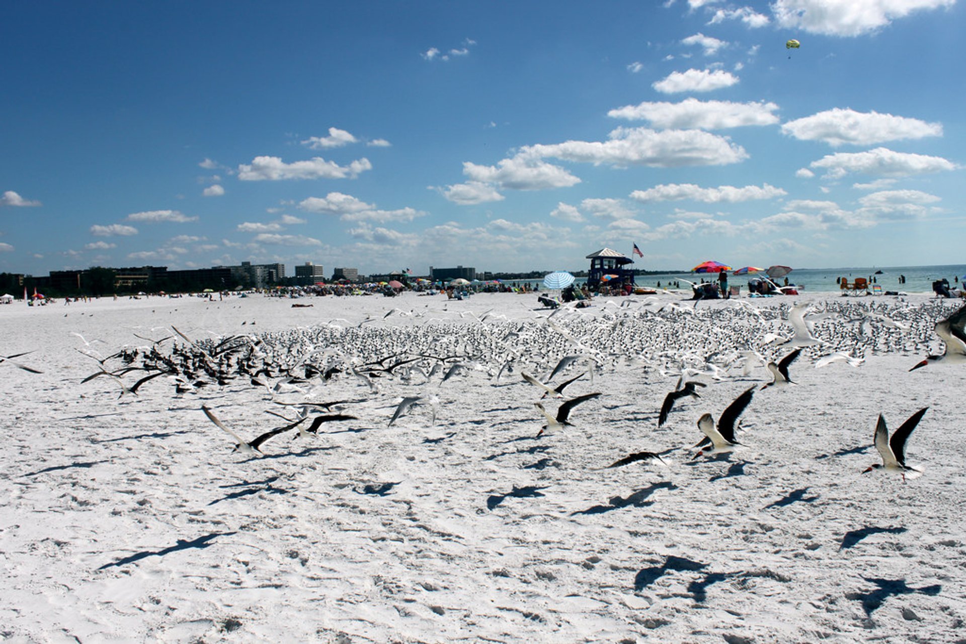 Strandurlaub und Badesaison