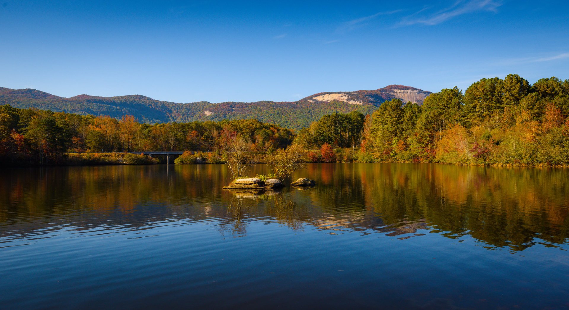 Couleurs d'automne de Caroline du Sud 