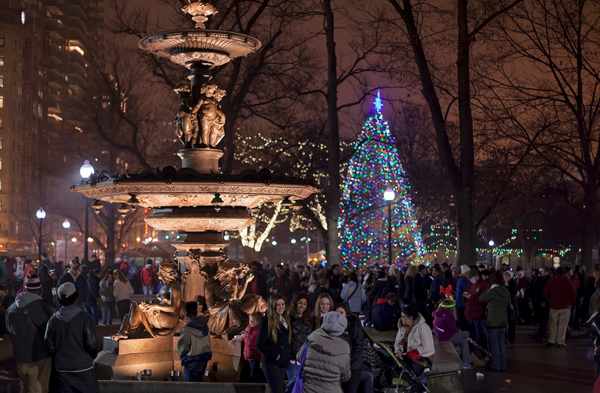 Illuminazione dell'albero di Natale