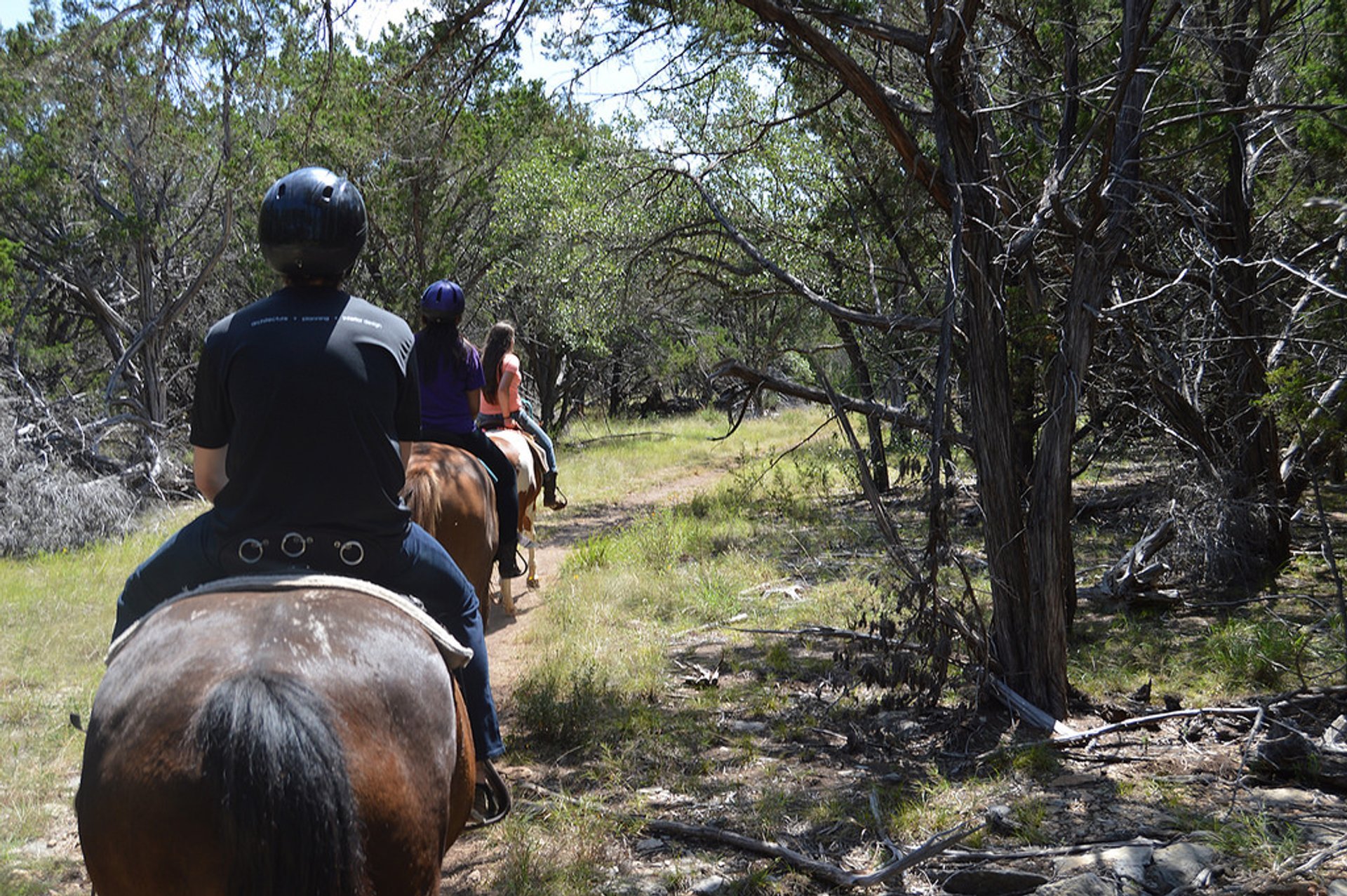 Montar a caballo