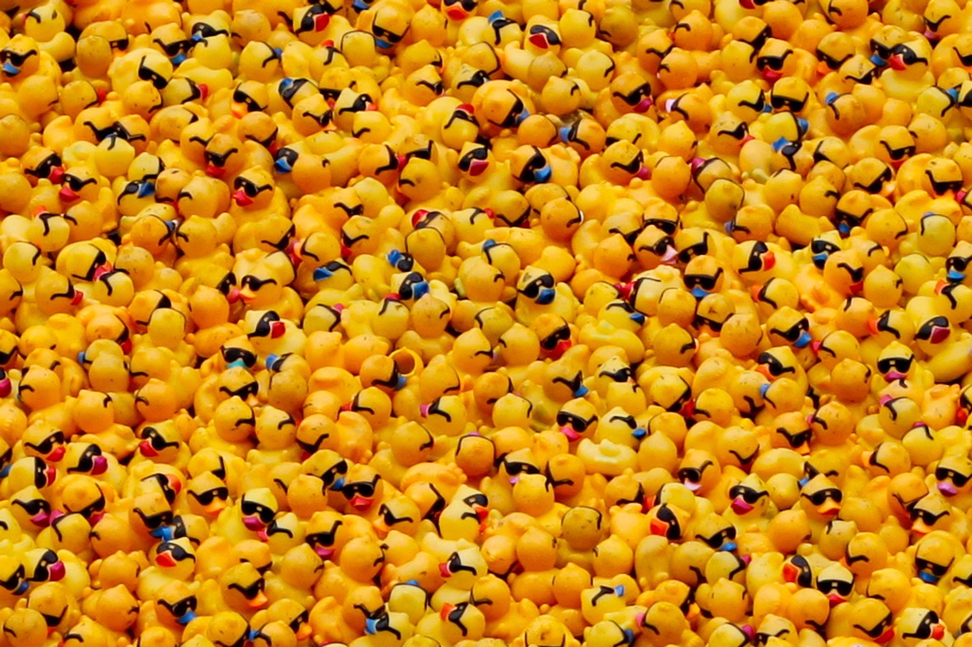 Chicago River Duck Race 2024 Dorey