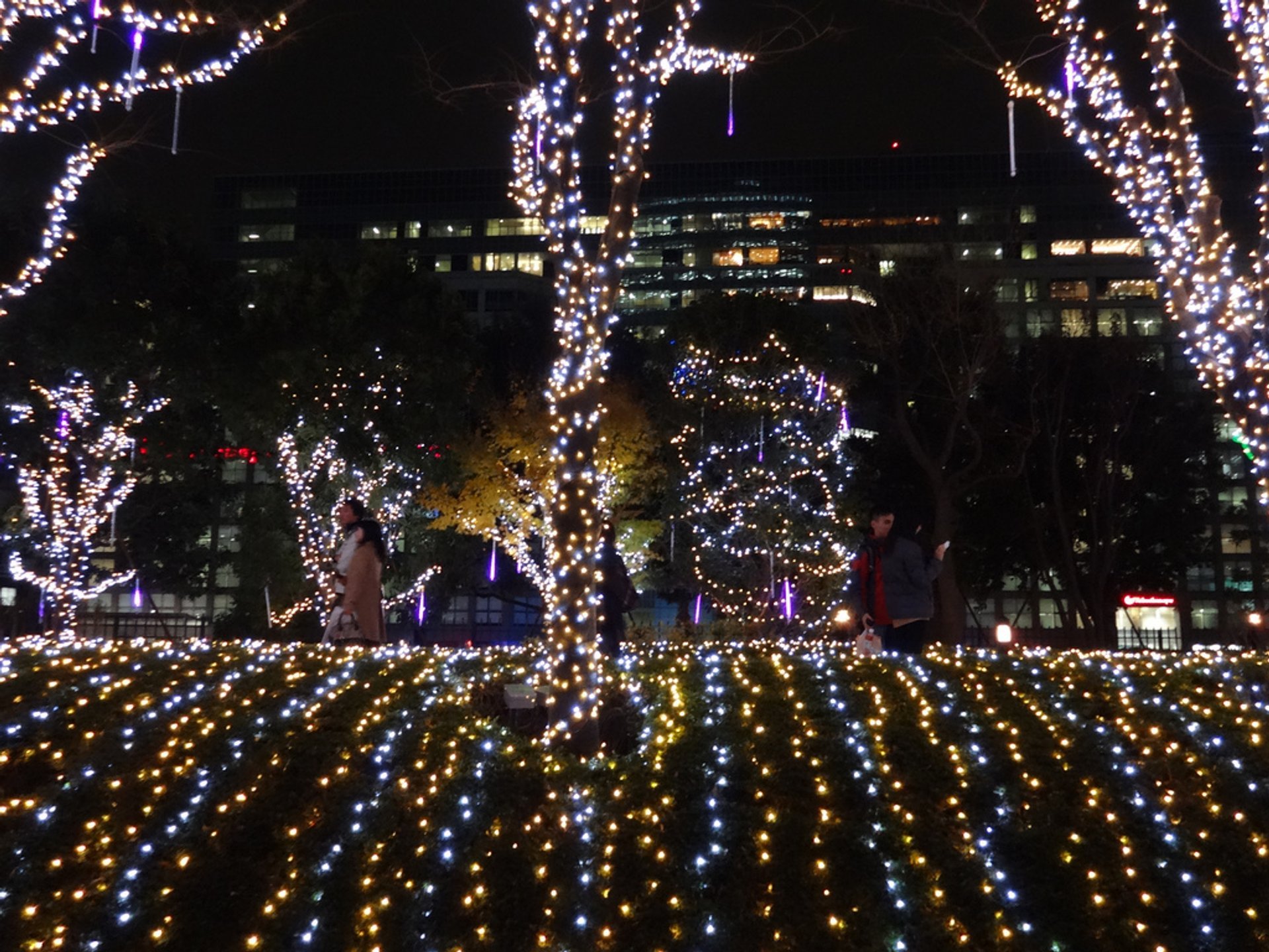 Winter Illumination 2022-2023 In Tokyo - Dates