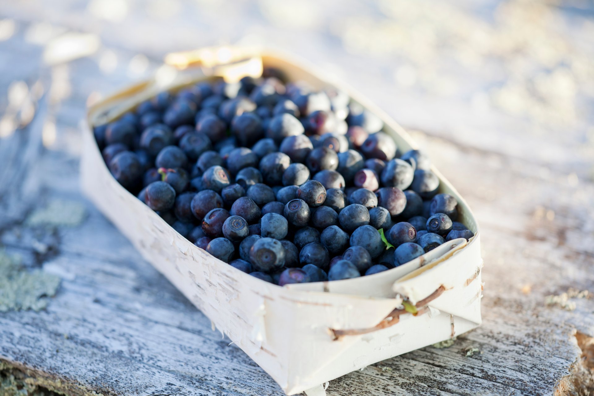 Stagione dei frutti di bosco