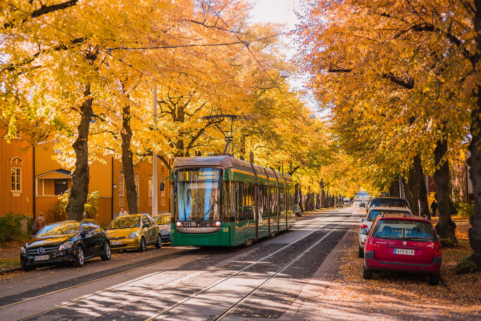 Autumn In Finland 2024 Rove me