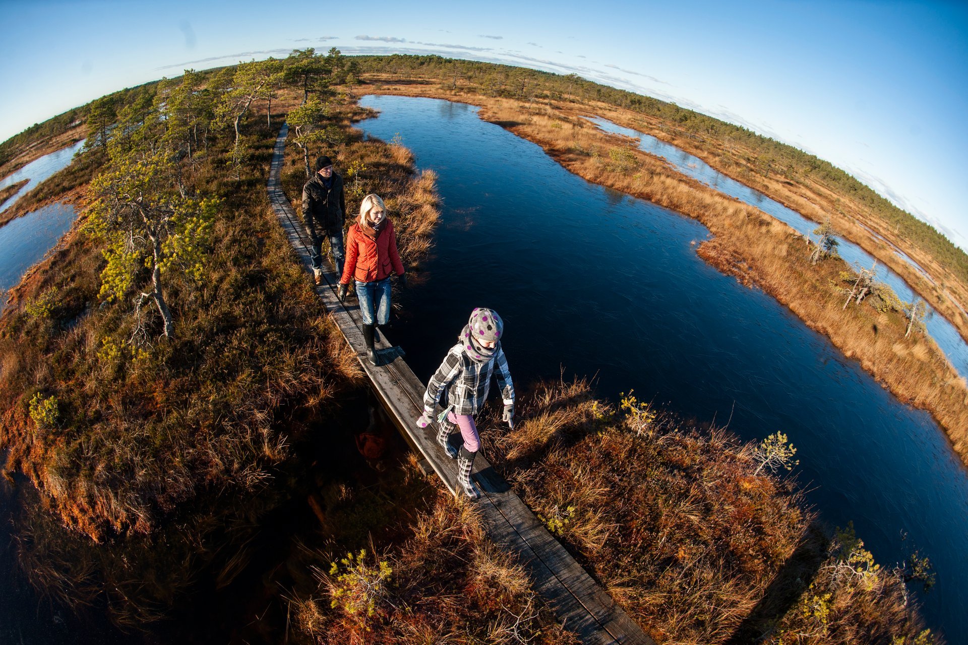 Bog Walking