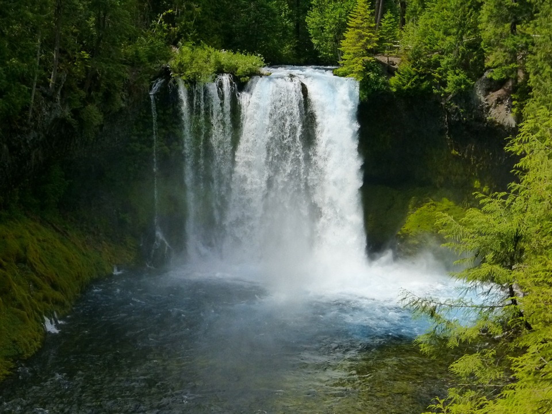 Sahalie and Koosah Falls