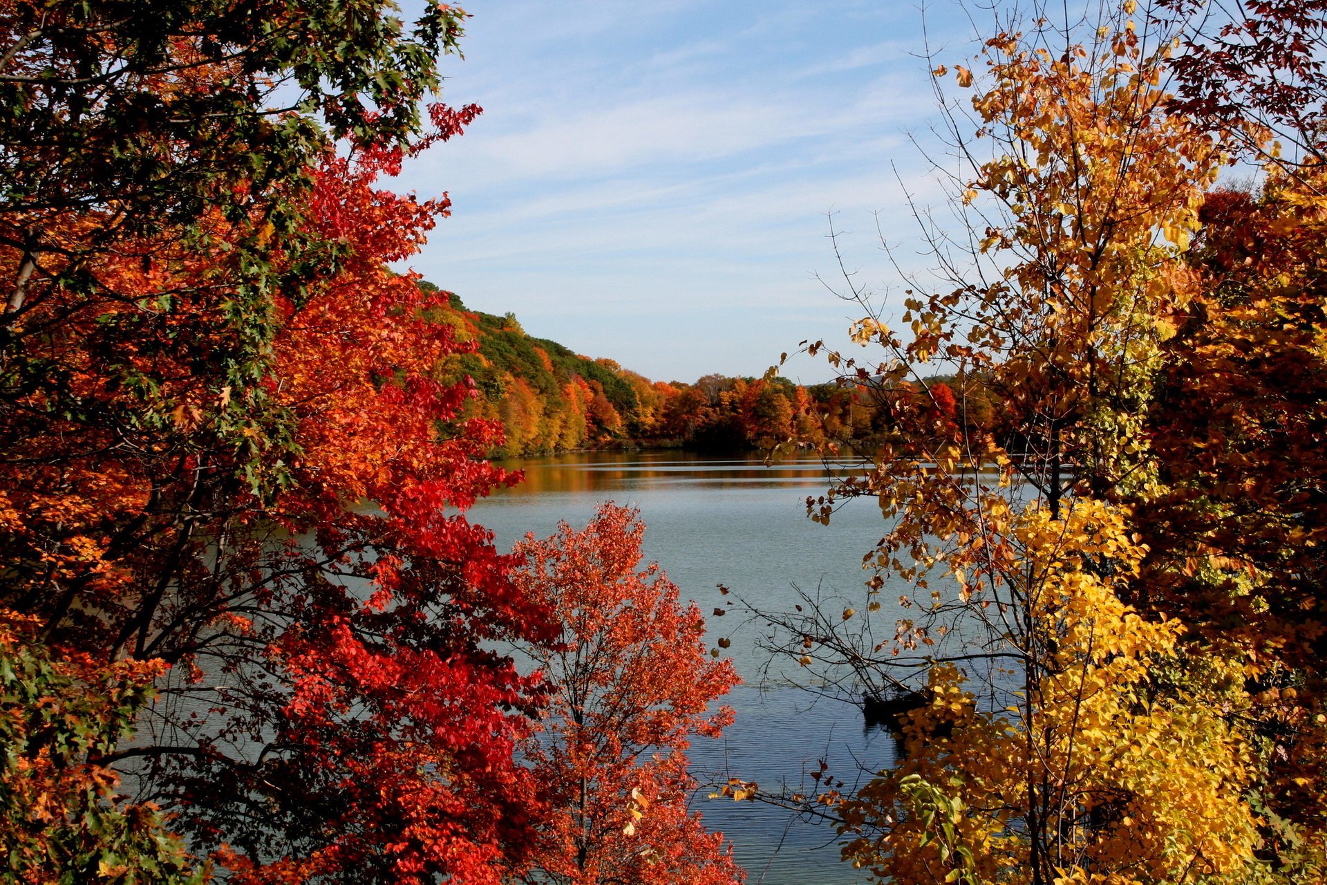 Fall Foliage