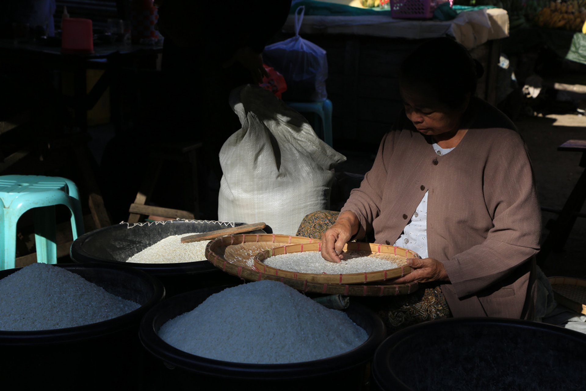 Rice Harvest