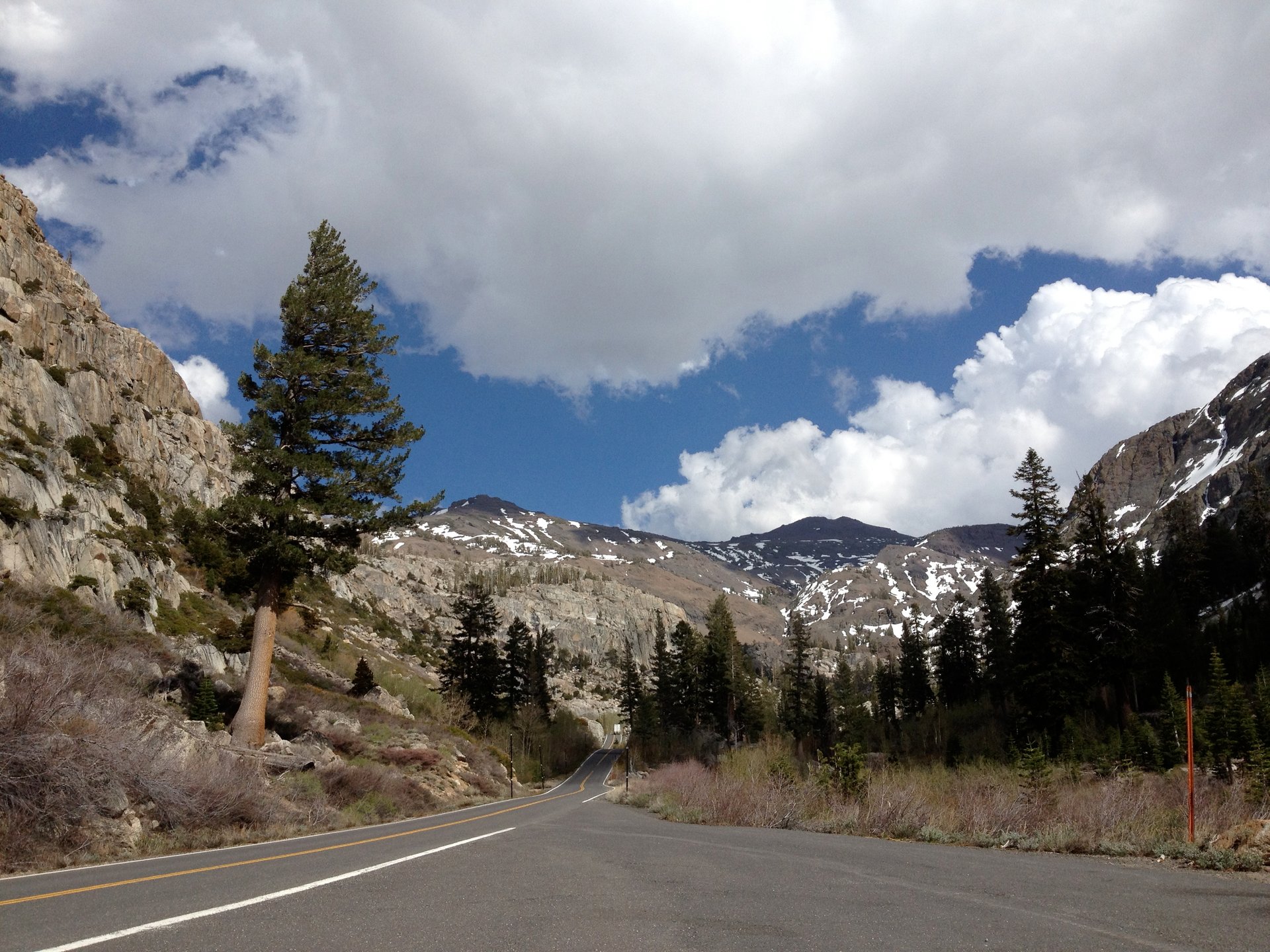 Sonora Pass