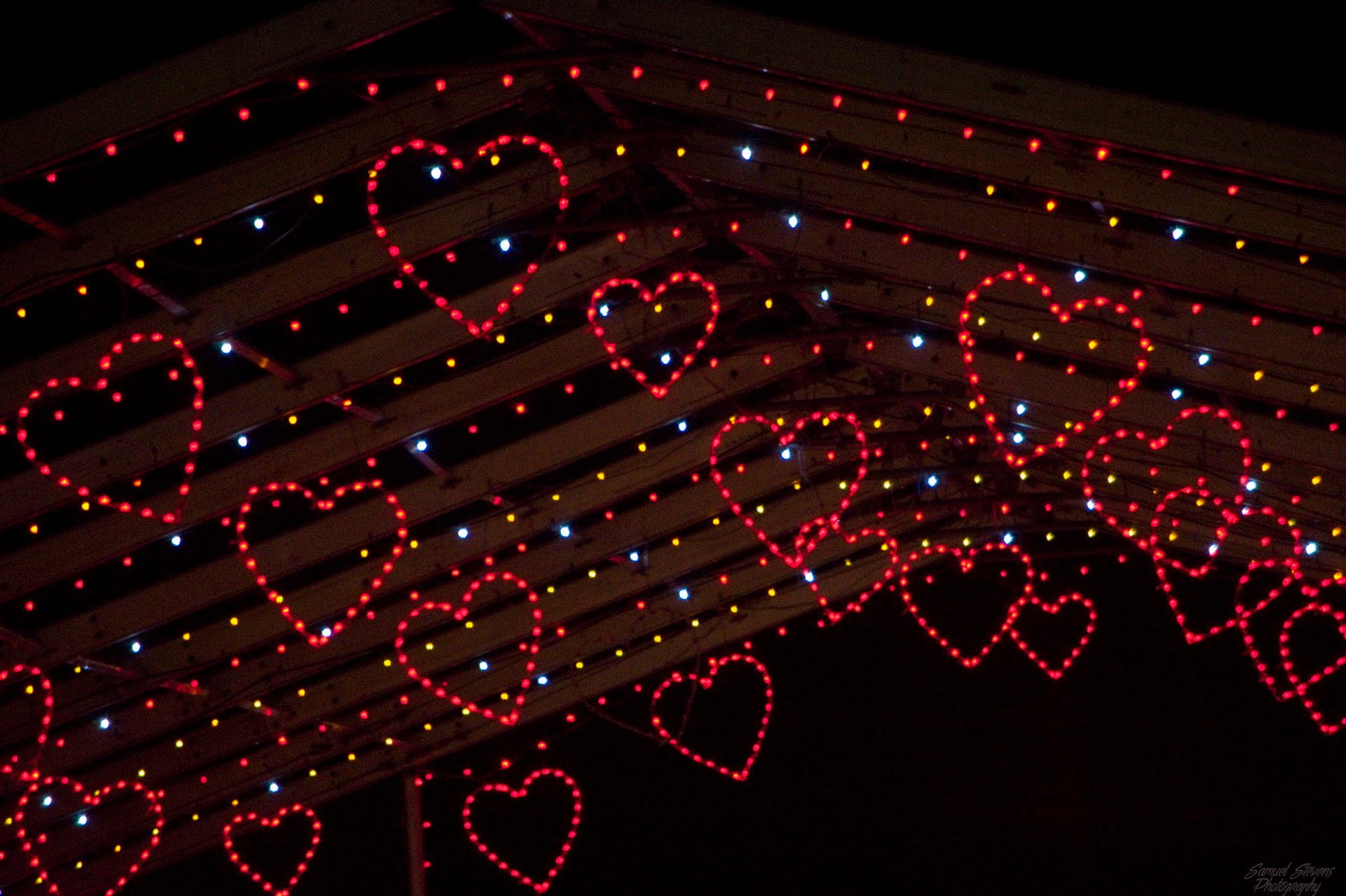 Christmas Lights 20242025 in Winnipeg Dates