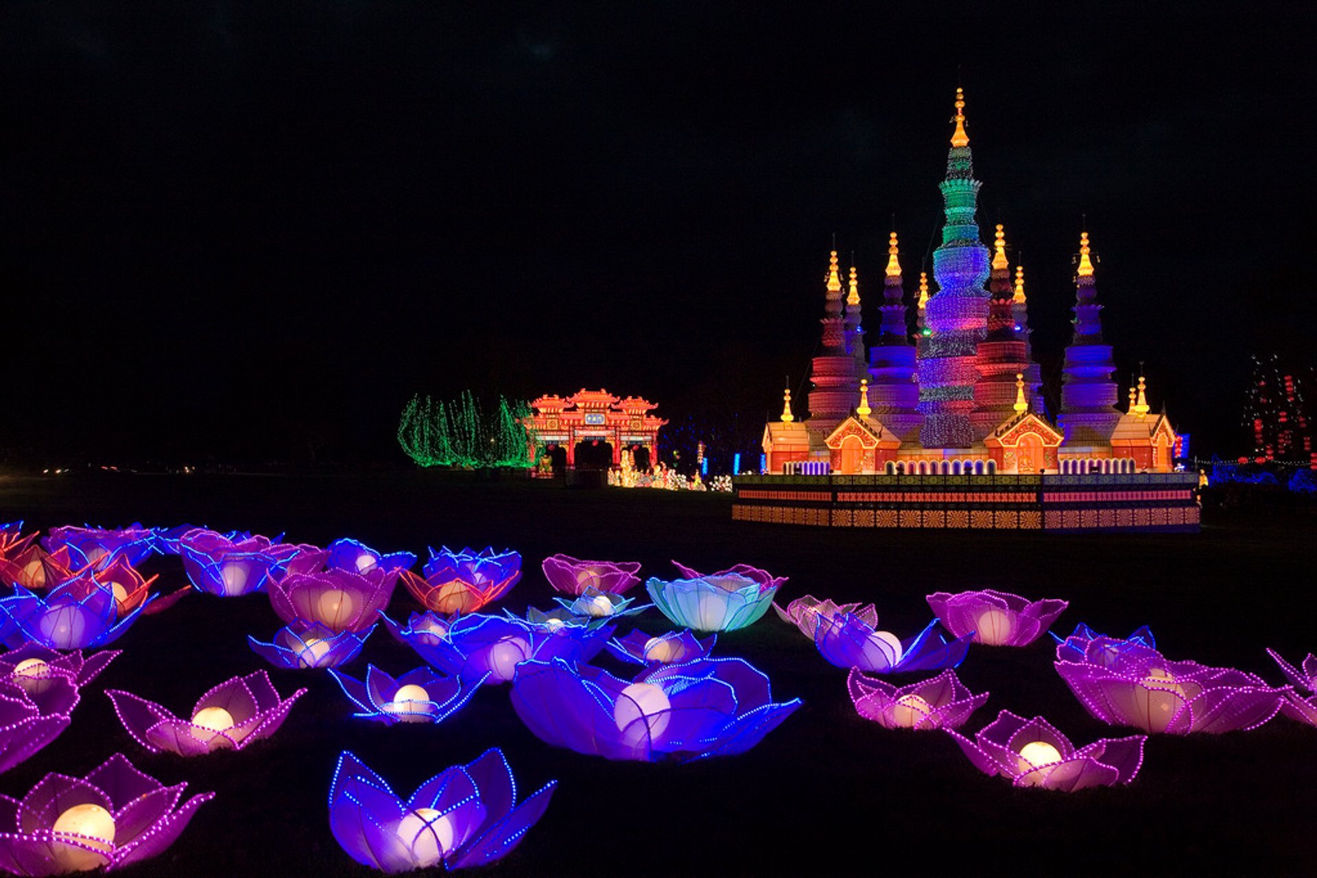 Land of Light at Longleat 20242025 in England Dates