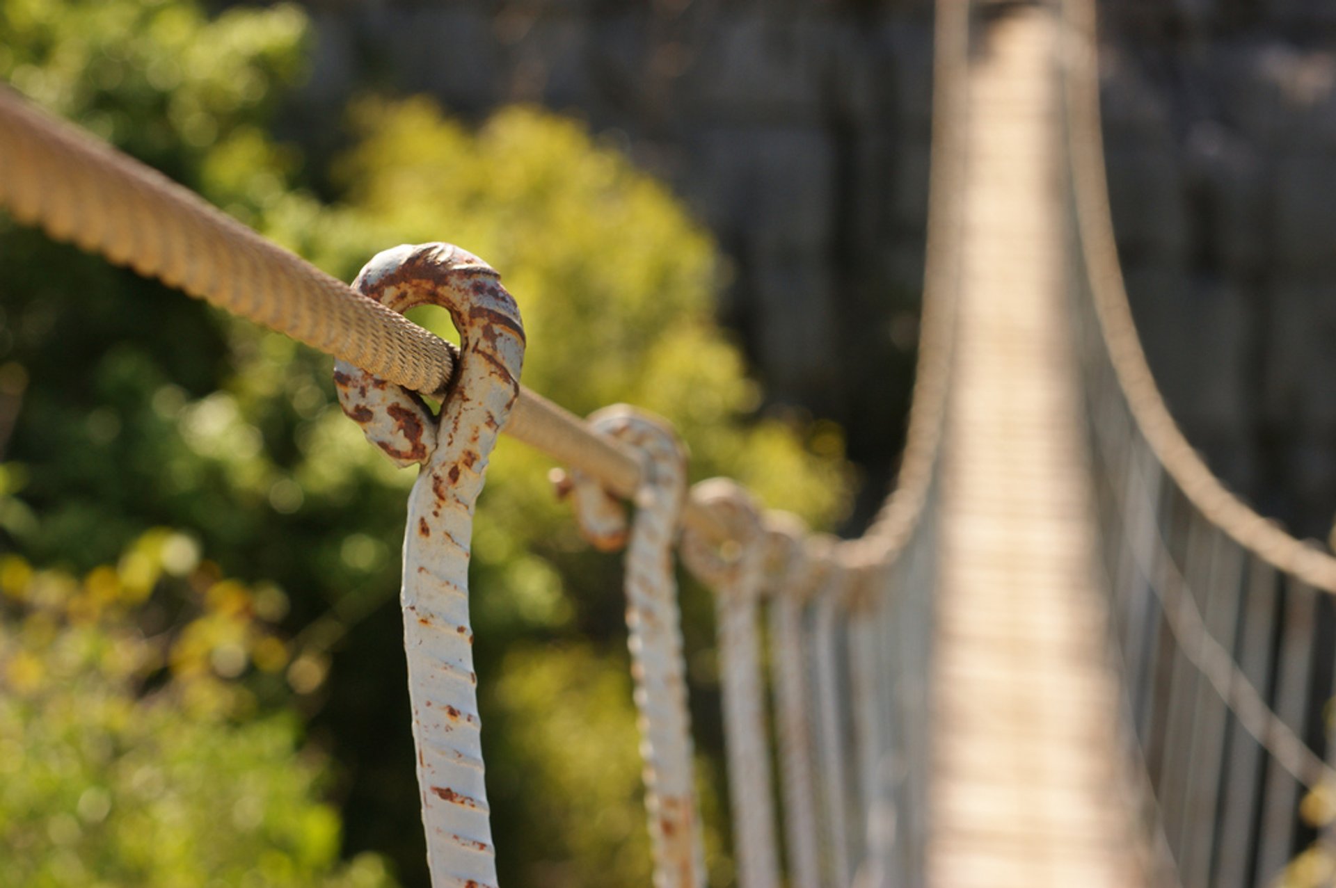 Ponts suspendus