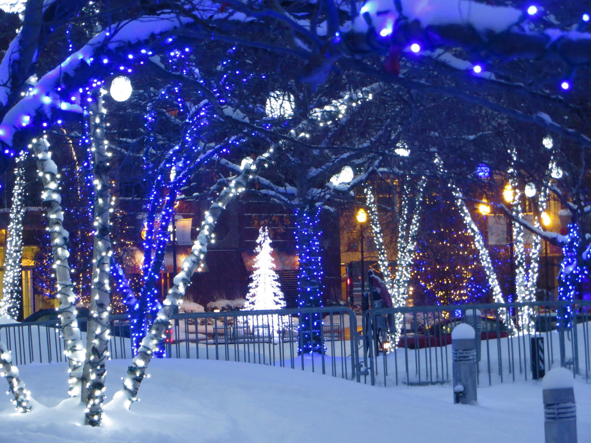 Christmas Lights in Grand Rapids 20242025, Grand Rapids, MI Dates
