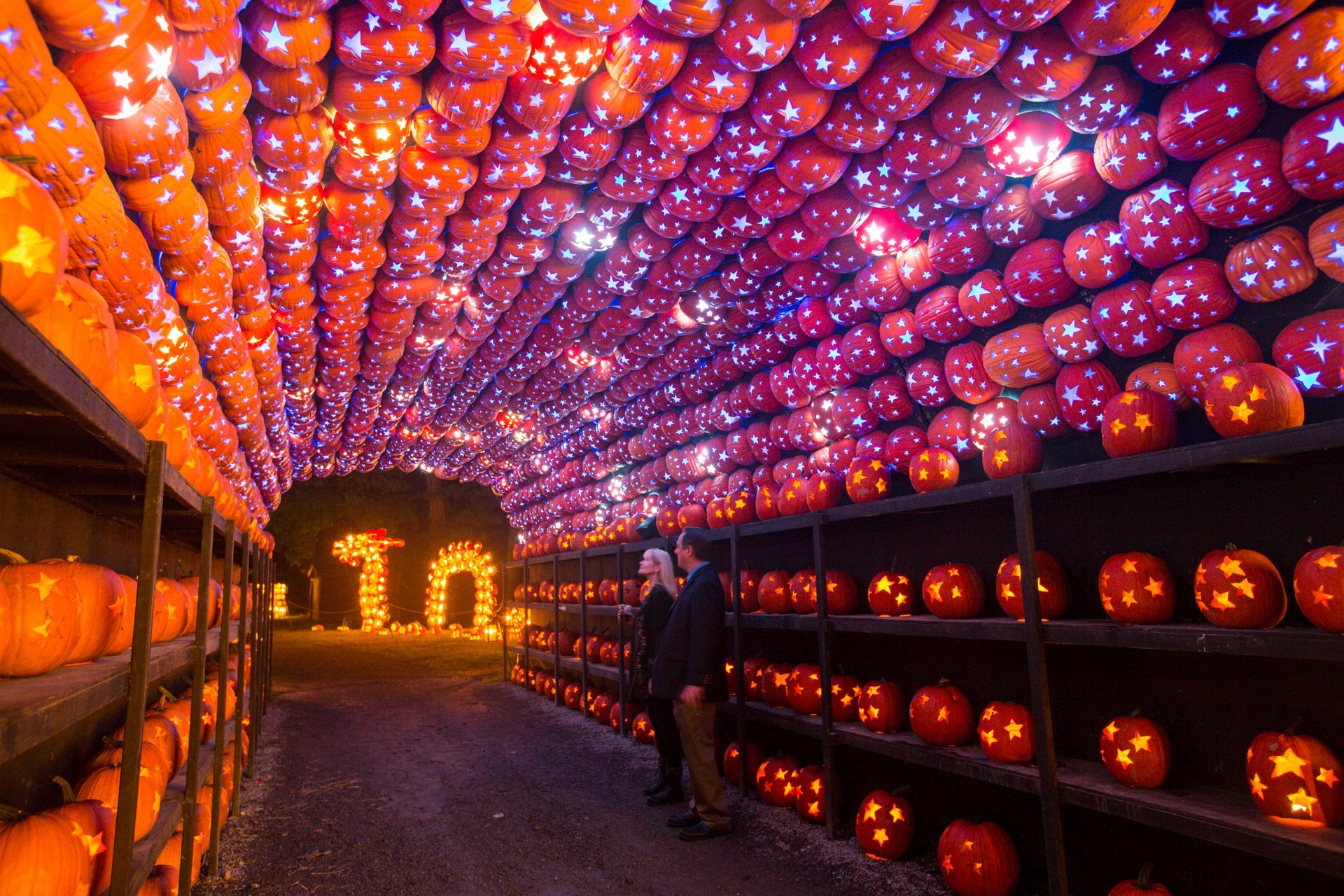 Great Jack O'Lantern Blaze