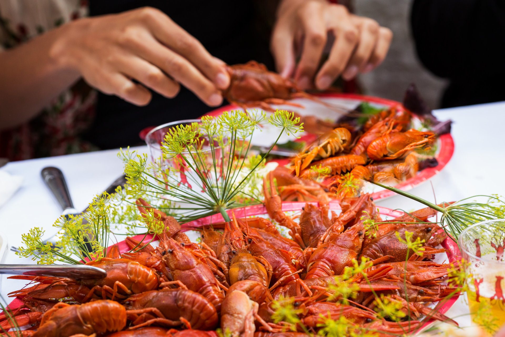 Crayfish Party Recipes Sweden