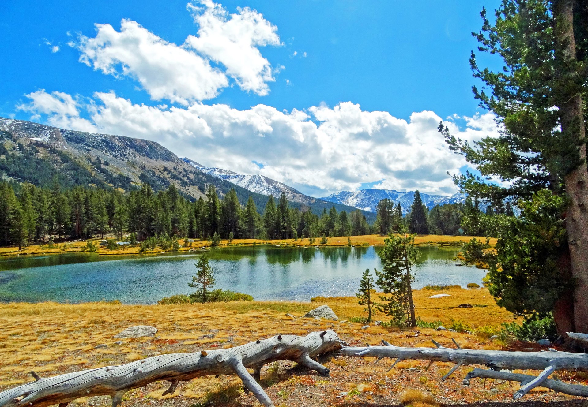 Prairies de Tuolumne