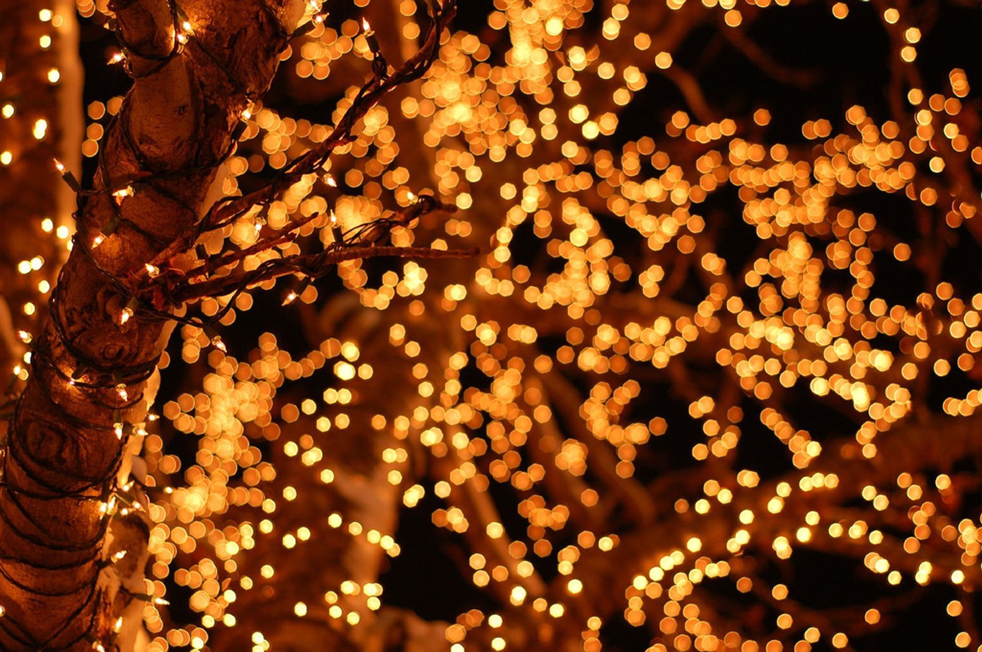 Weihnachtslichter in Salt Lake City