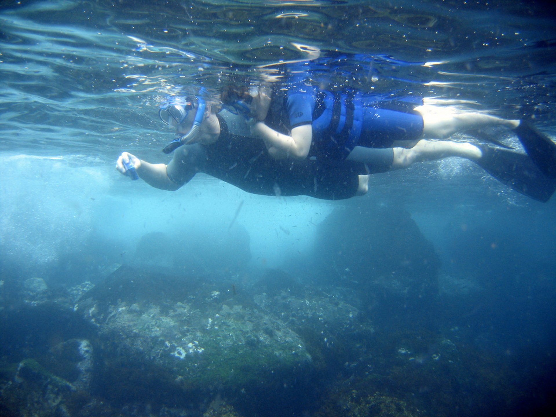 Saison de natation et de snorkeling