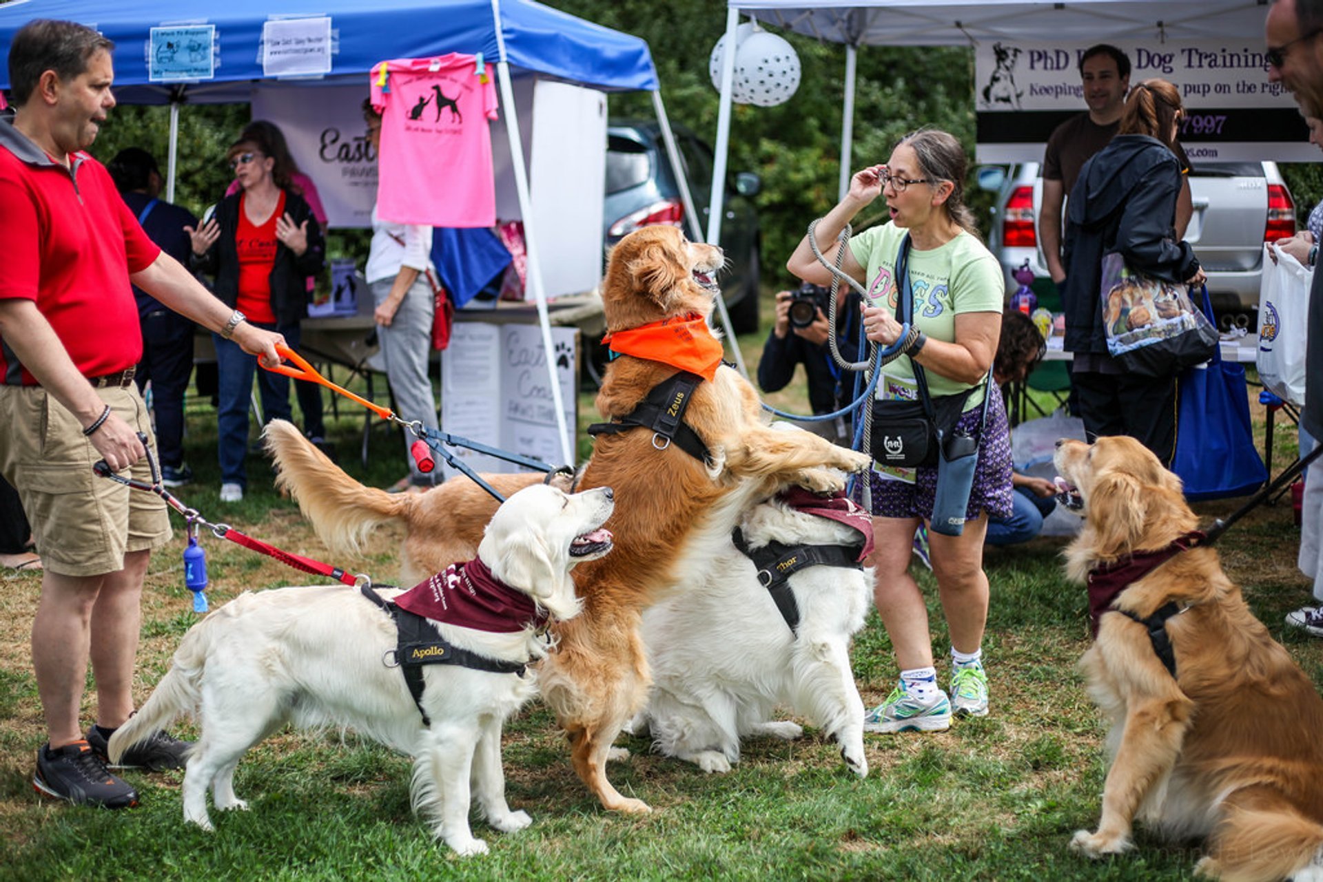 Festival von Woofstock